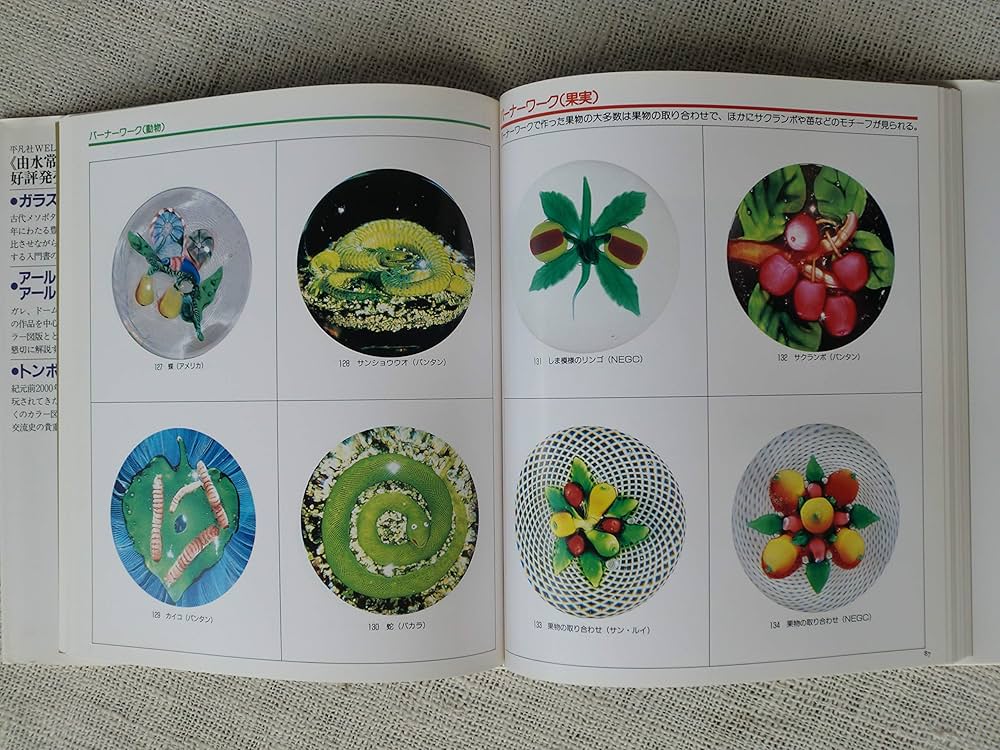 相棒 ペーパーウェイト 61oMCNvvnYL._AC_UL210_SR210,