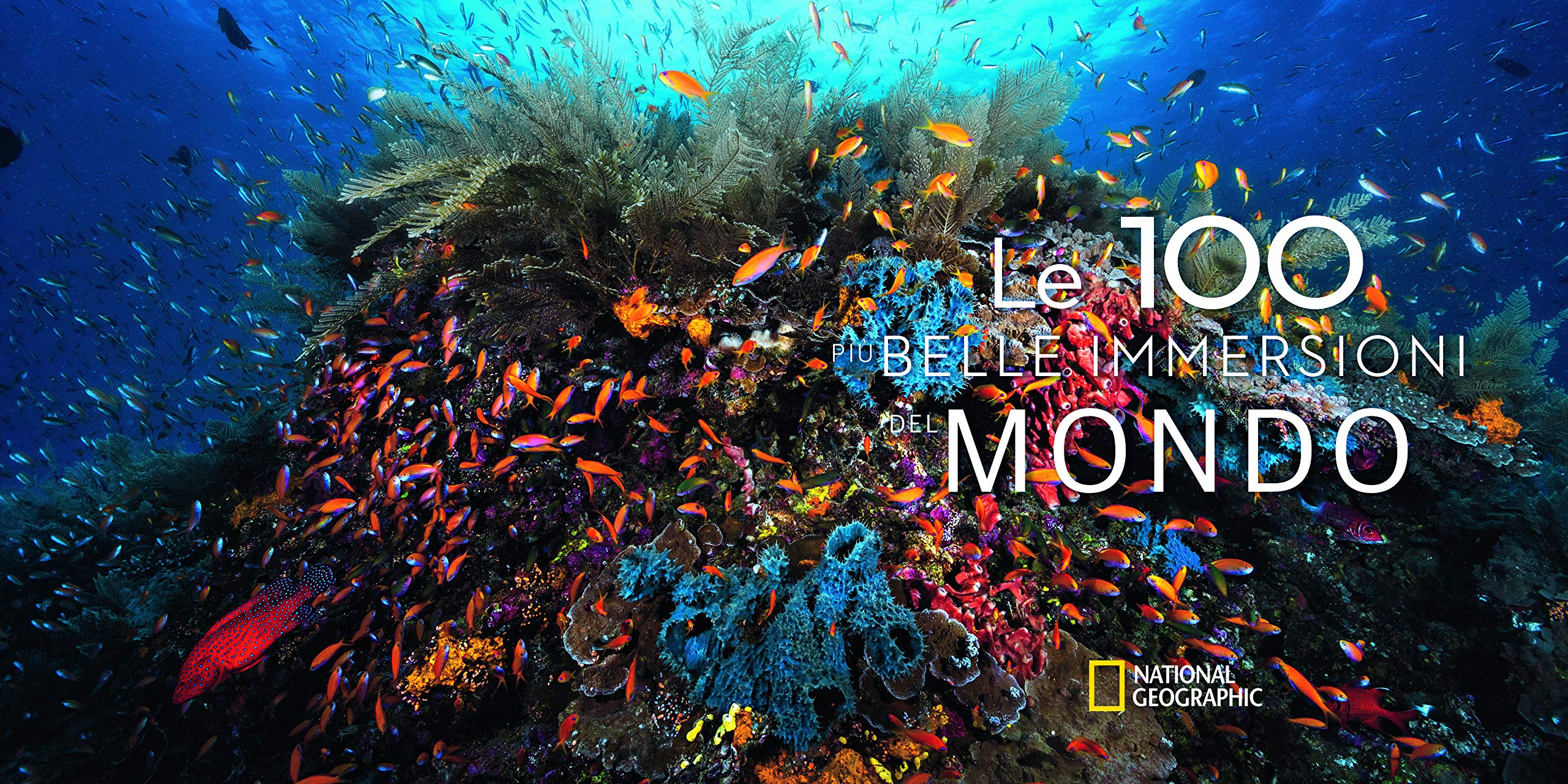 Le 100 più belle immersioni del mondo. Ediz. illustrata