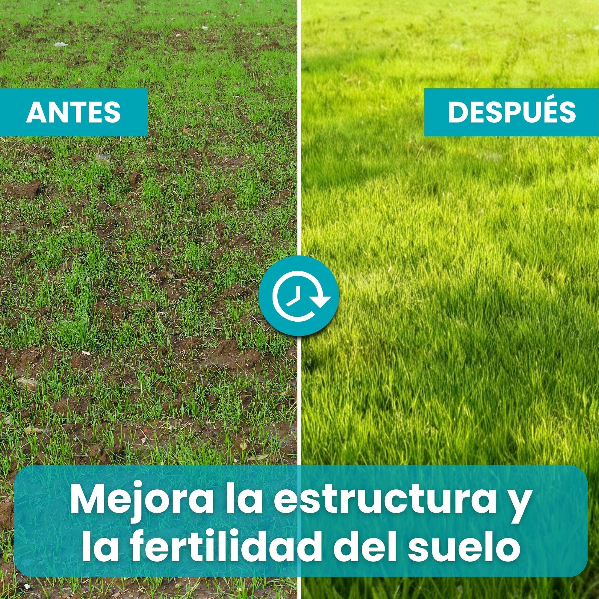 LERAVA Revive (9 kg) - Cal para césped para equilibrio óptimo del pH - enmienda calcárea para mejorar la estructura y fertilidad del suelo- aporte natural de calcio para césped denso y resistente