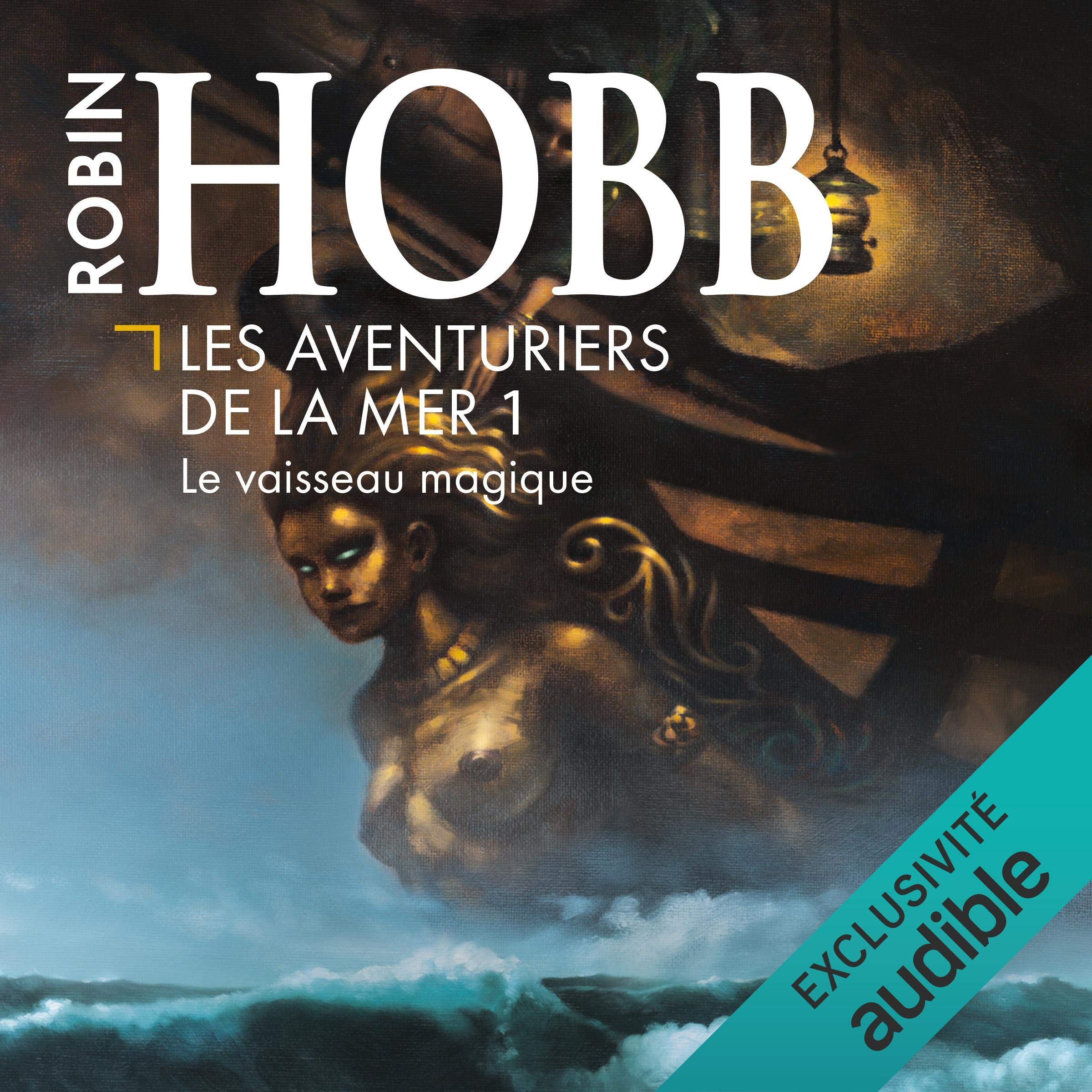 Cover art for Le vaisseau magique