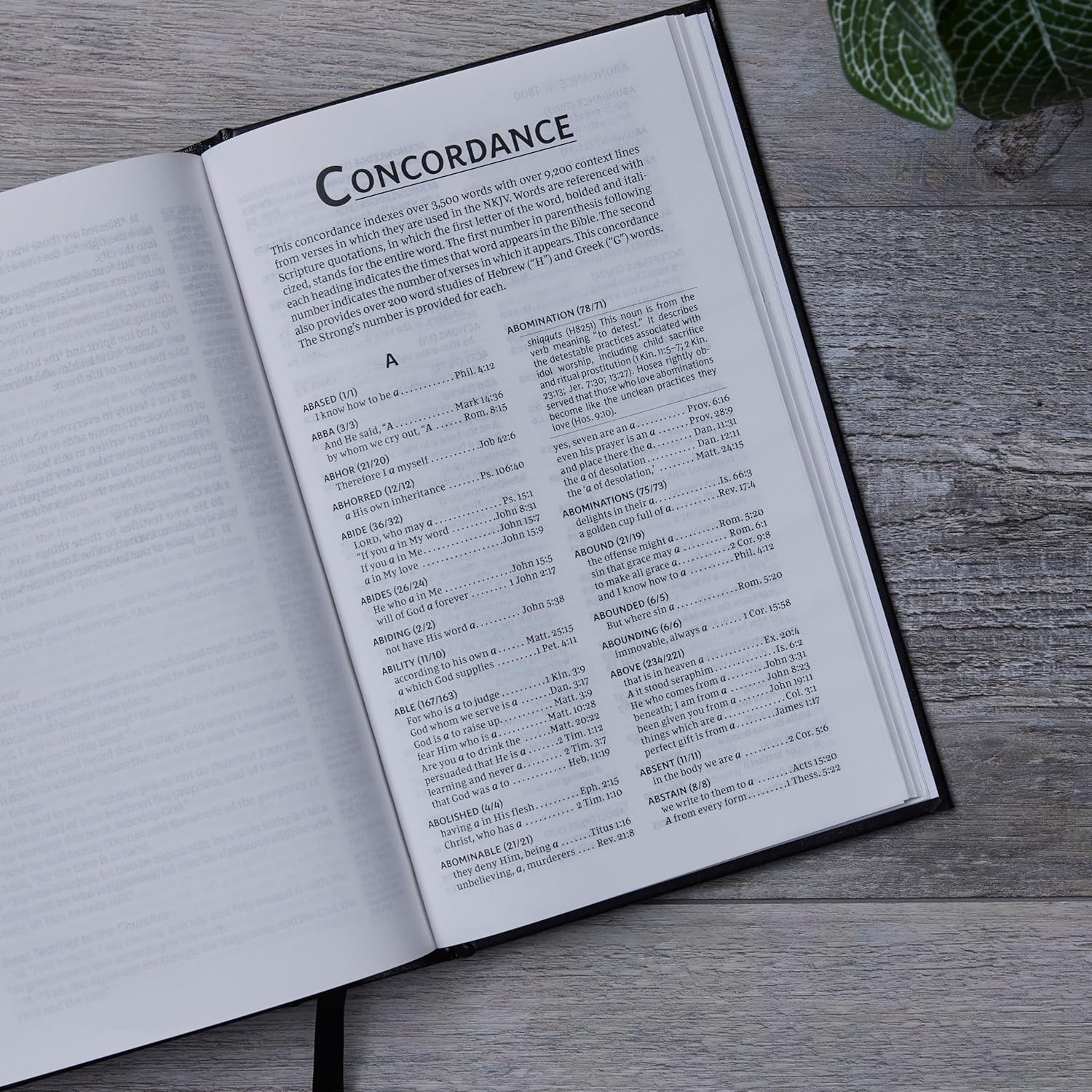 NKJV, Single-Column Reference Bible, Verse-by-verse, Green Leathersoft, Red Letter, Comfort Print - Image 9