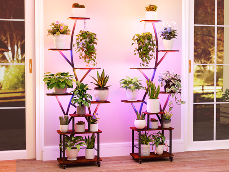 Amazon.com: Plant Stand Indoor with Grow Lights 64