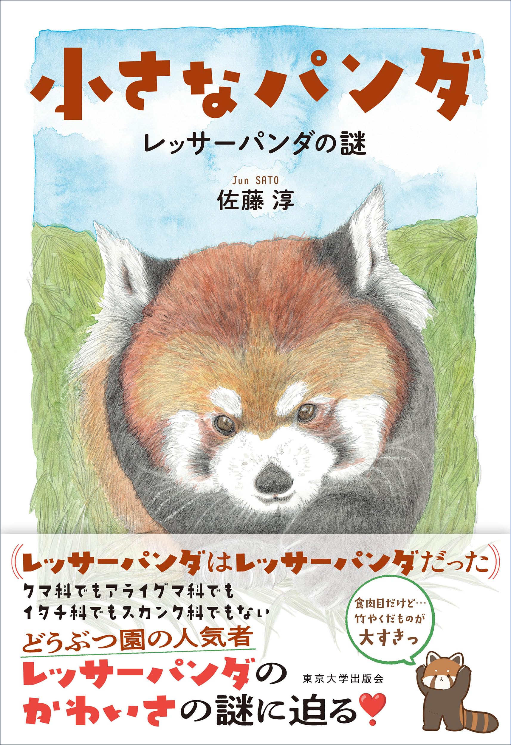 小さなパンダ: レッサーパンダの謎 | 佐藤 淳 |本 | 通販 | Amazon