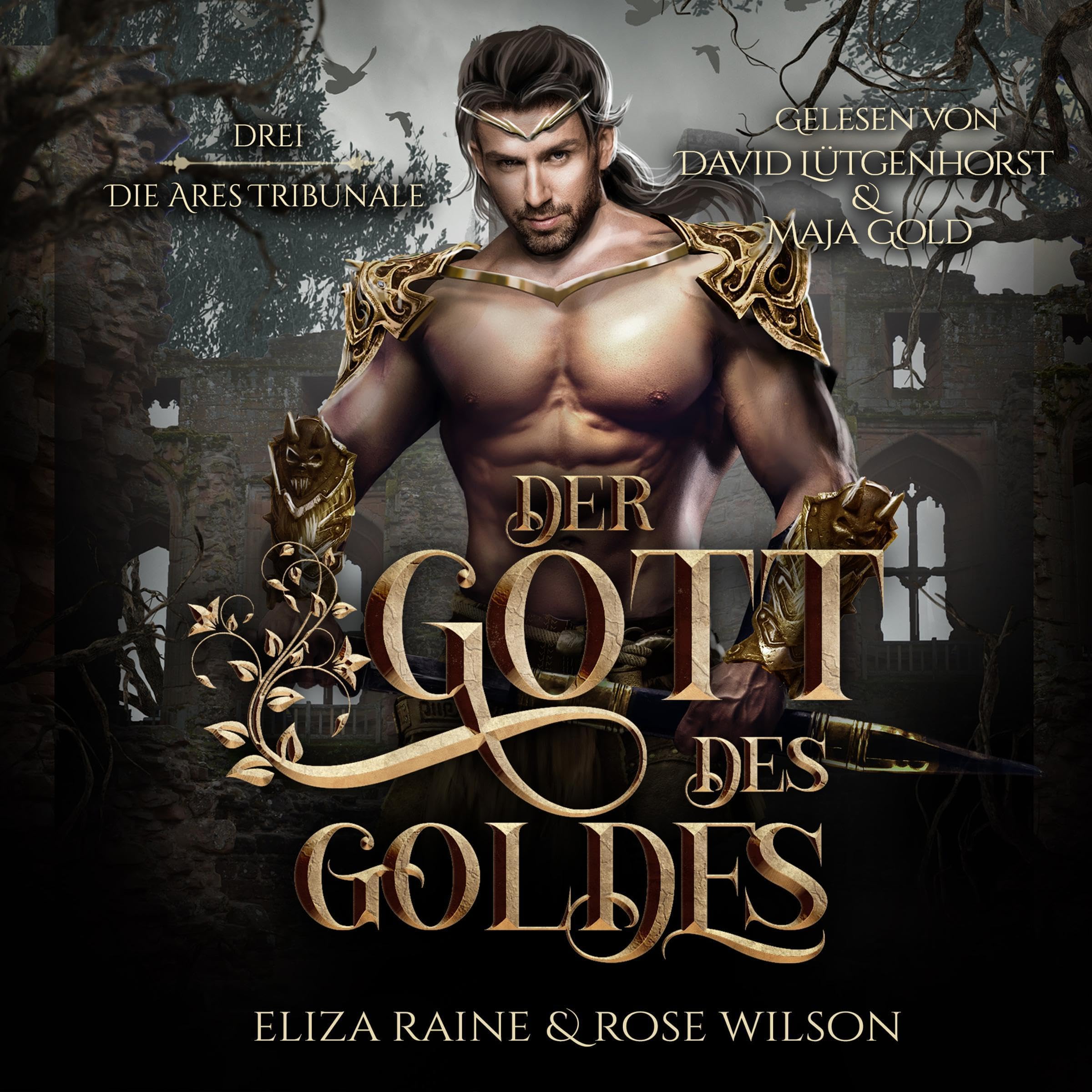 Cover art for Der Gott des Goldes
