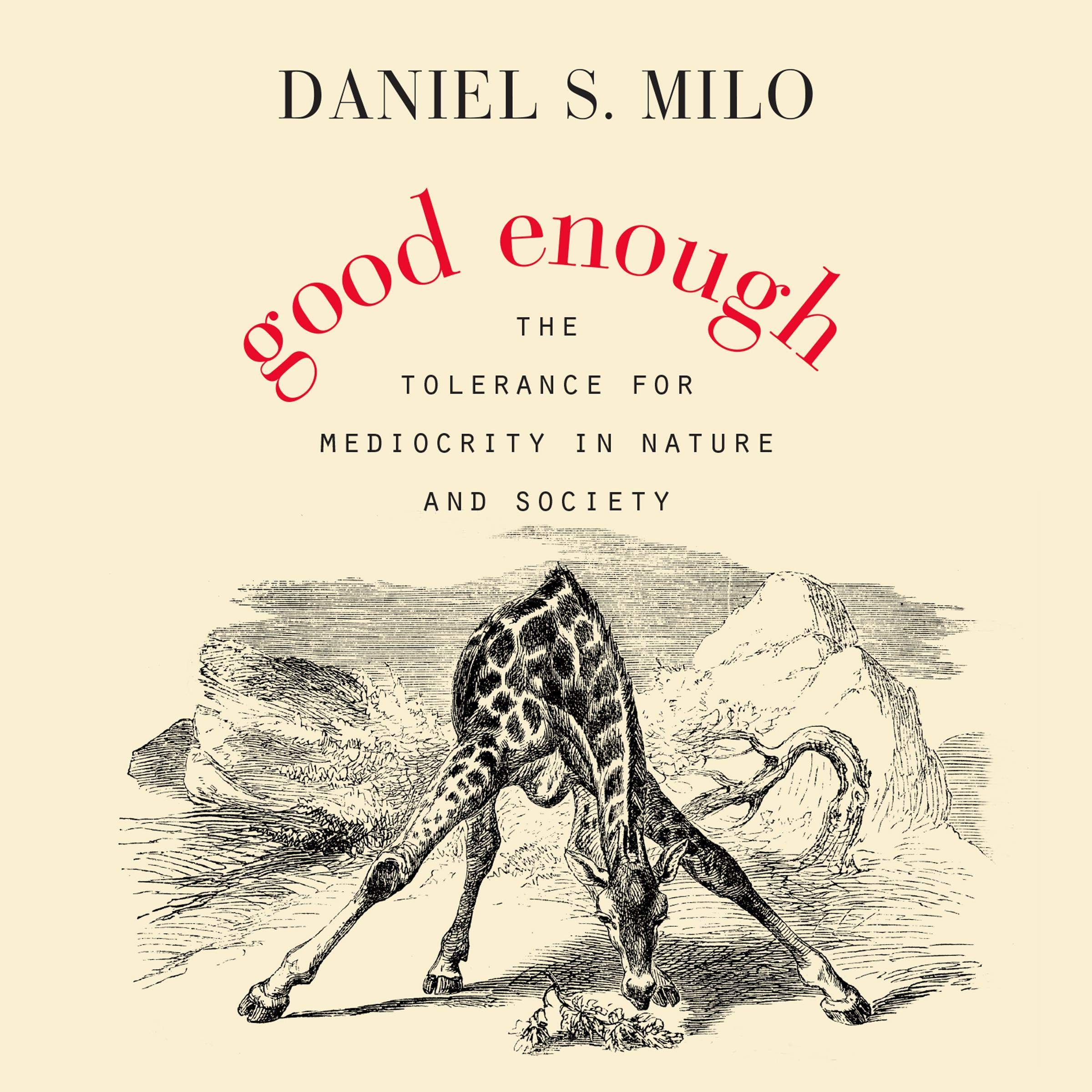 Cover art for Good Enough