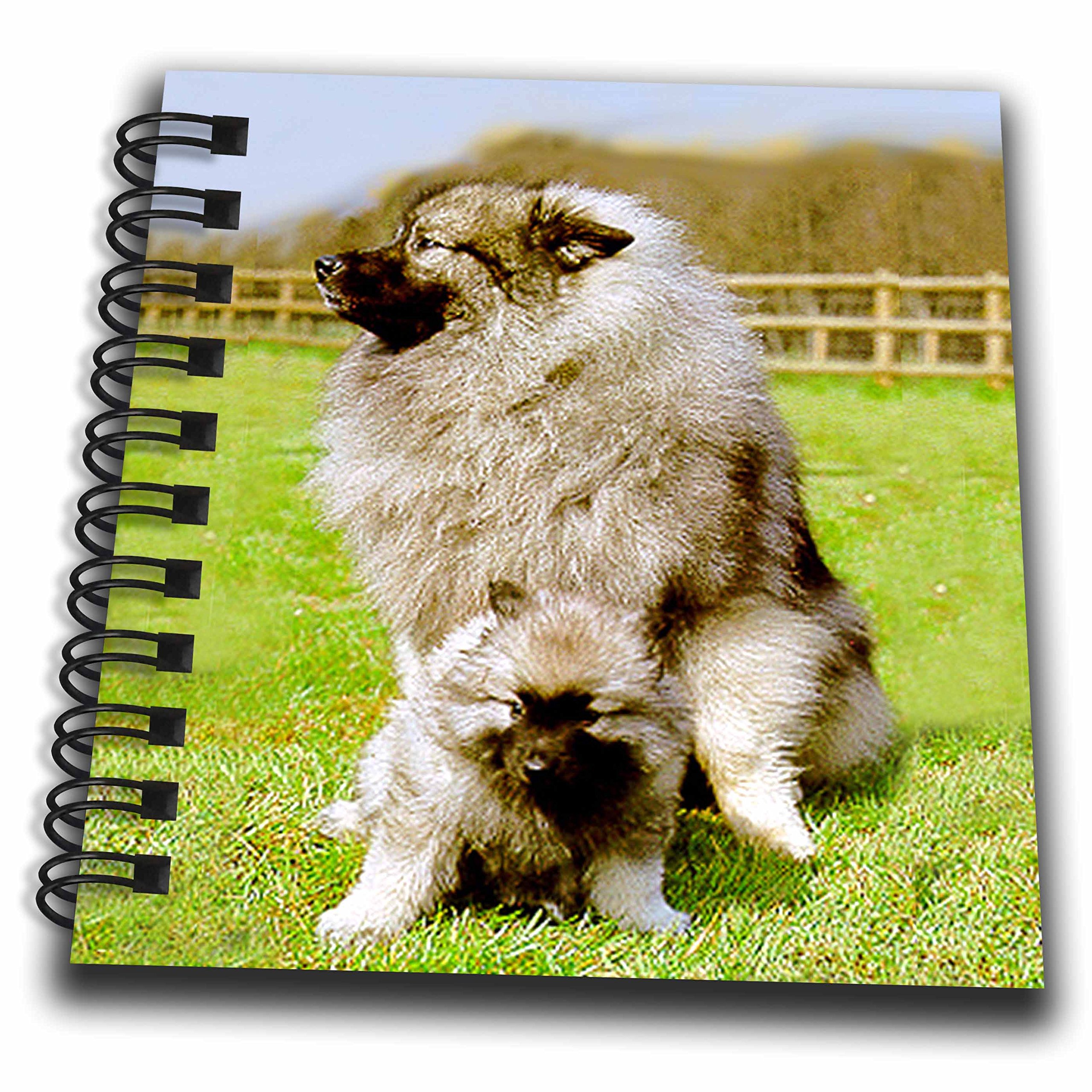 Bloc-notes Keeshond multicolore, mini carnet 10,2 cm idéal pour le bureau et le sac