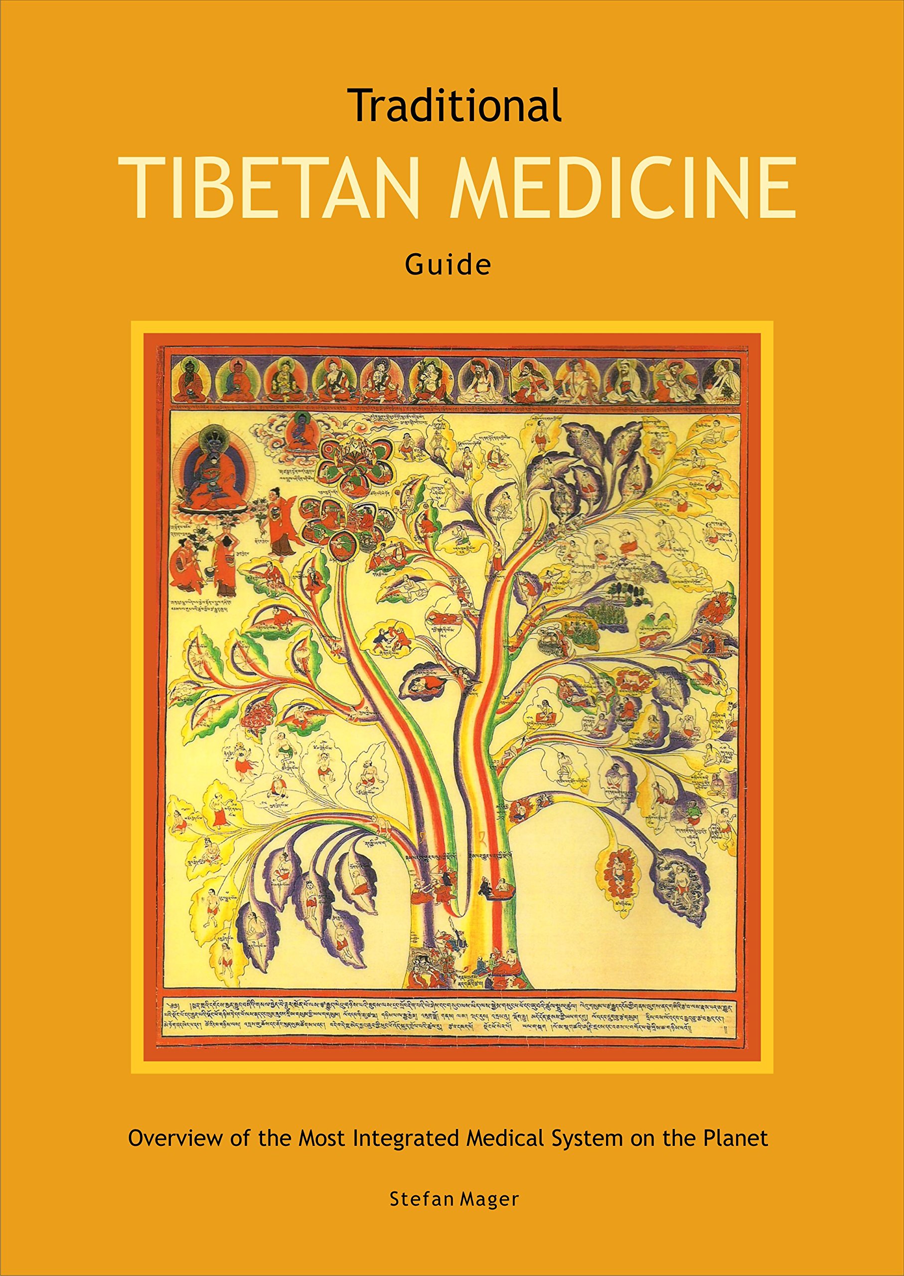 Traditional Tibetan Medicine Guide: Overview of the Most Integrated Medical System on the Planet