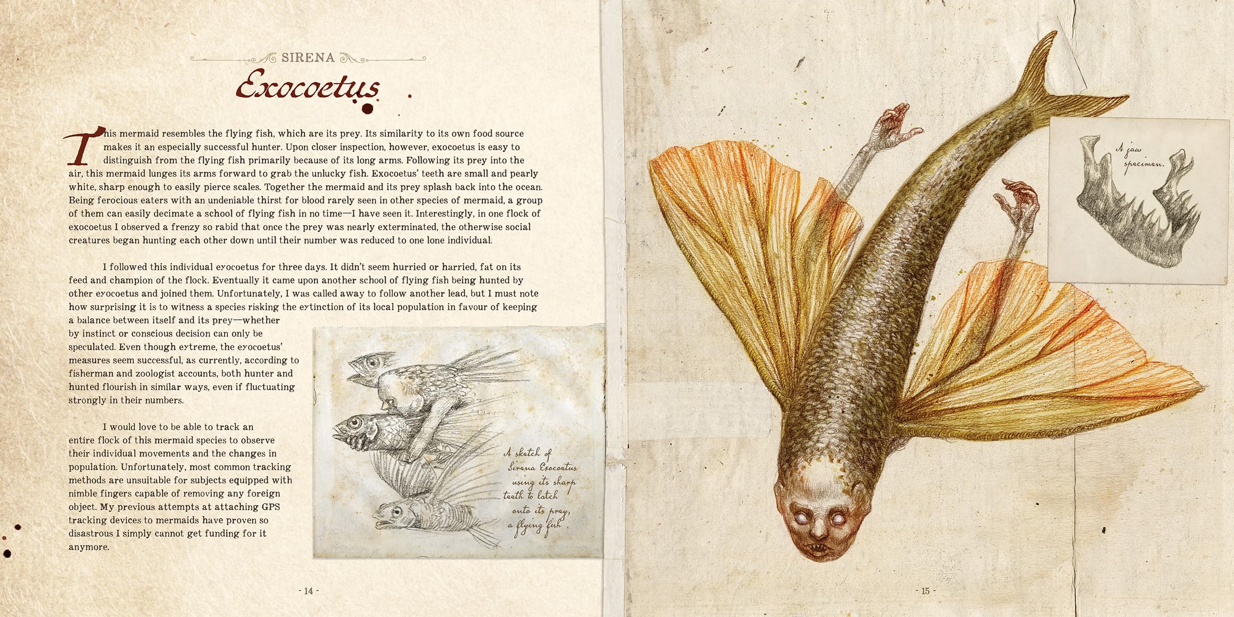 Dr. C. Lillefisk's Sirenology: A Guide to Mermaids and Other Under-The-Sea Phenonemon