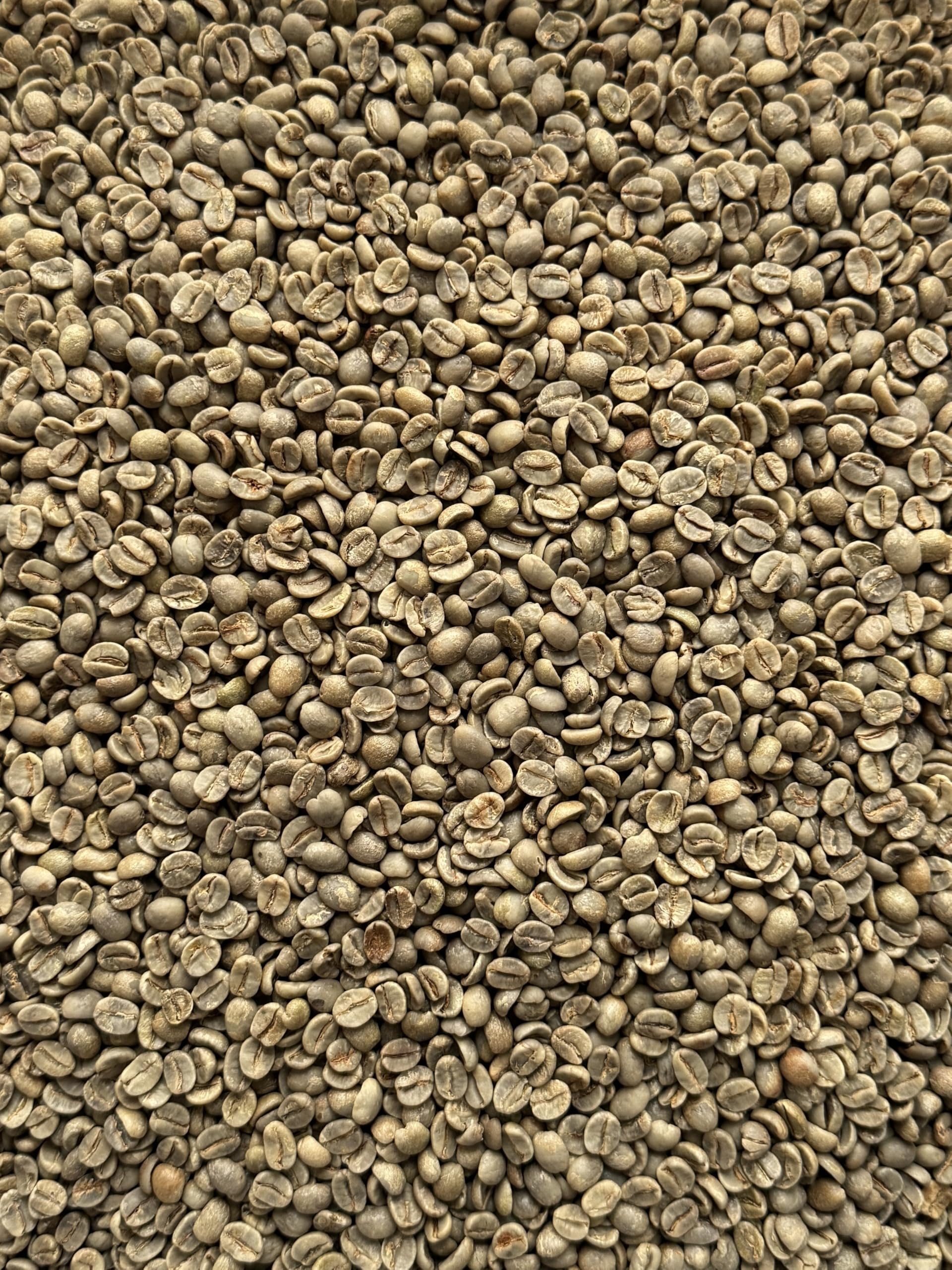 Rohkaffee - Brasilien - Arabica Sul de Minas - grüne Kaffeebohnen aus Brasilien - natural aufbereitet – Haselnuss, Milchschokolade & milde Zitrusnote - für Heimröster (2 kg)