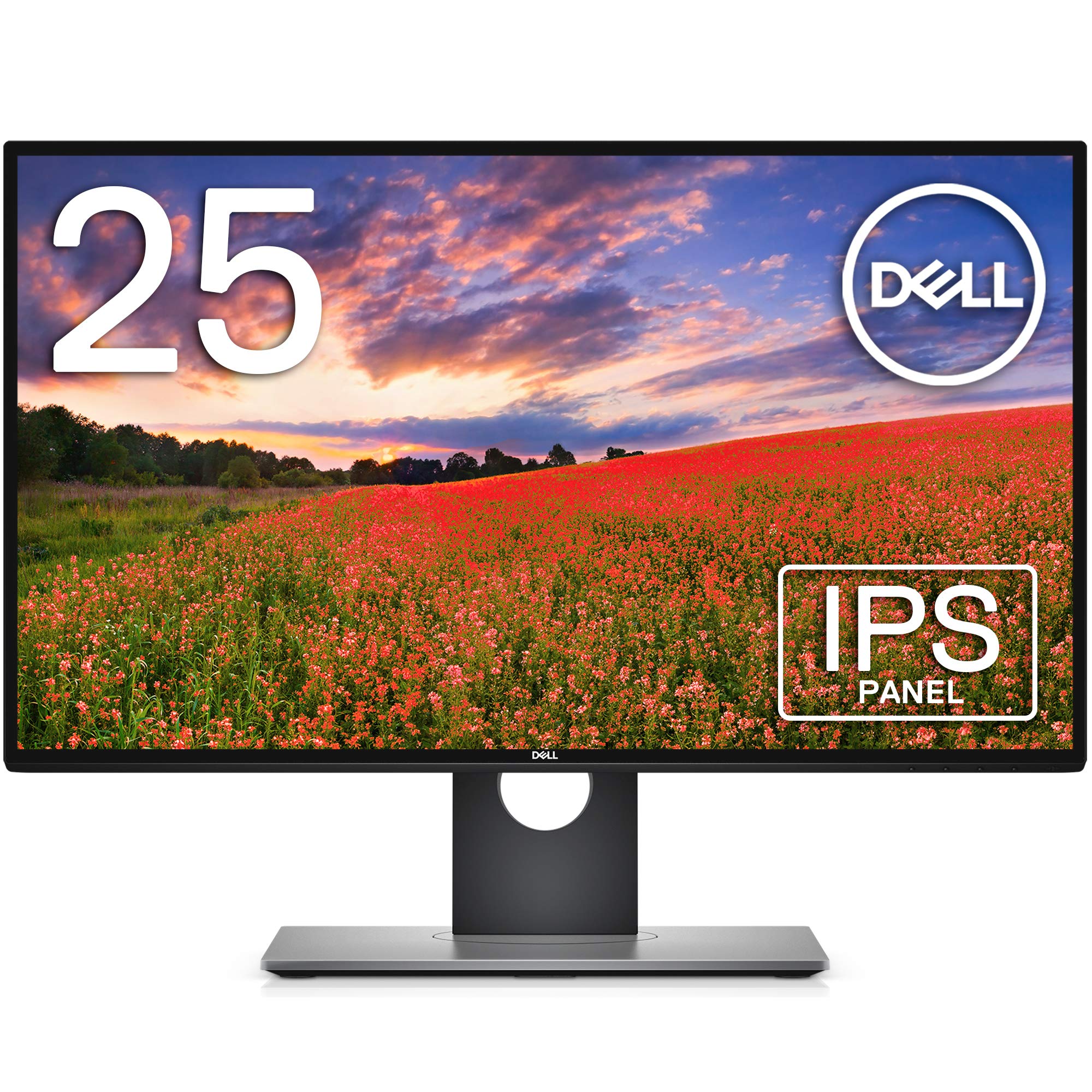 【整備済み品】 【整備済品】Dell モニター 25インチ U2518D(フレームレス/Dell HDR/WQHD/IPS非光沢/ブルーライト軽減/フリッカーフリー/DP,mDP,HDMI/高さ調整/回転) 付属品:電源ケーブル・DPケーブル】pcGrace (整備済み品)
