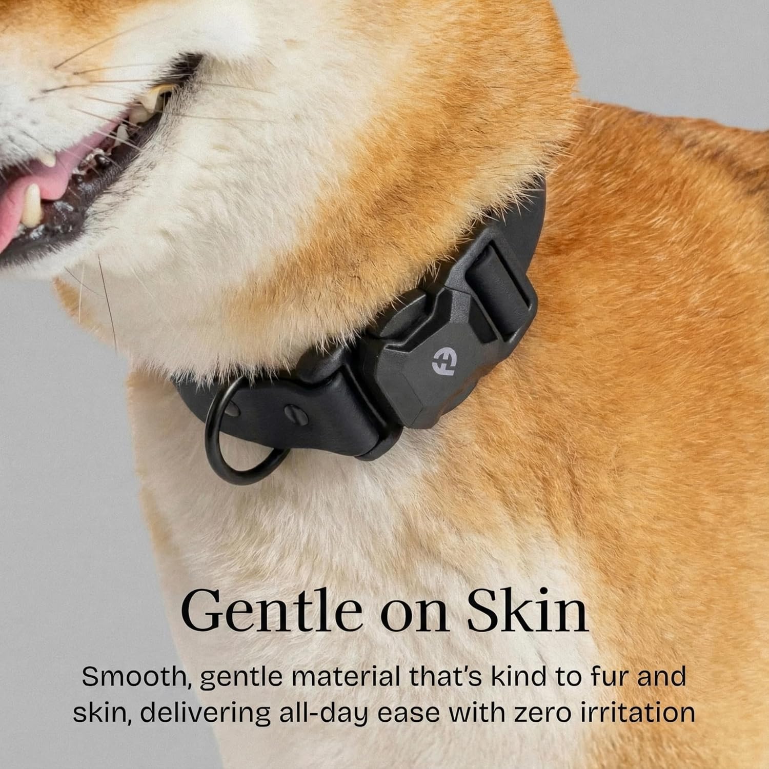 Fei & Eve VERO Series – MagEase Dog Collar, Patented Magnetic Buckles, 450LB Escape-Proof, PVC Waterproof, Fur-Safe, Odor Resistant & Wipes Clean, Adjustable Fit, Black Large