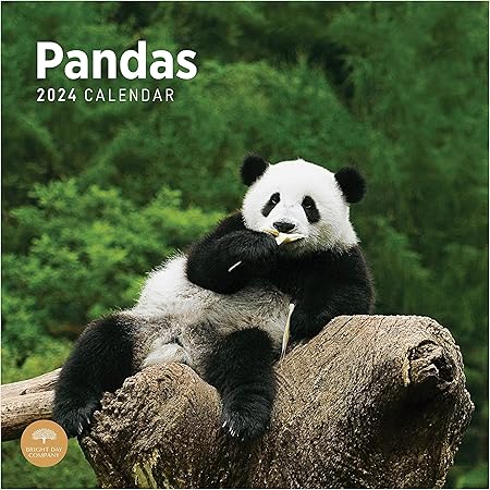Amazon.com: 2024 Pandas Monthly Wall Calendar by Bright Day, 12 x 12
