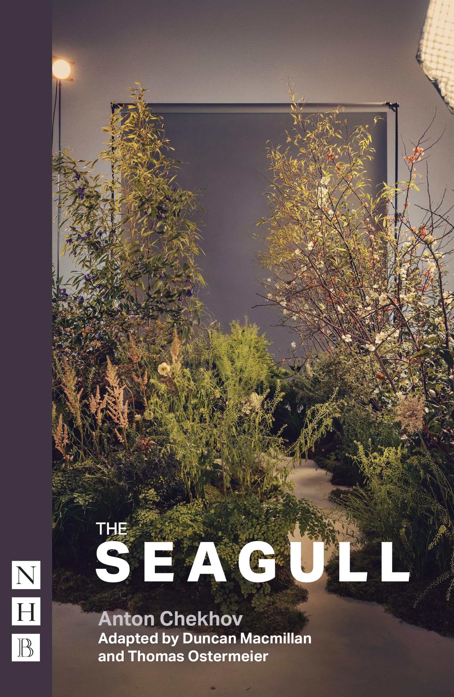 The Seagull (NHB Modern Plays) - The critically acclaimed production starring Cate Blanchett