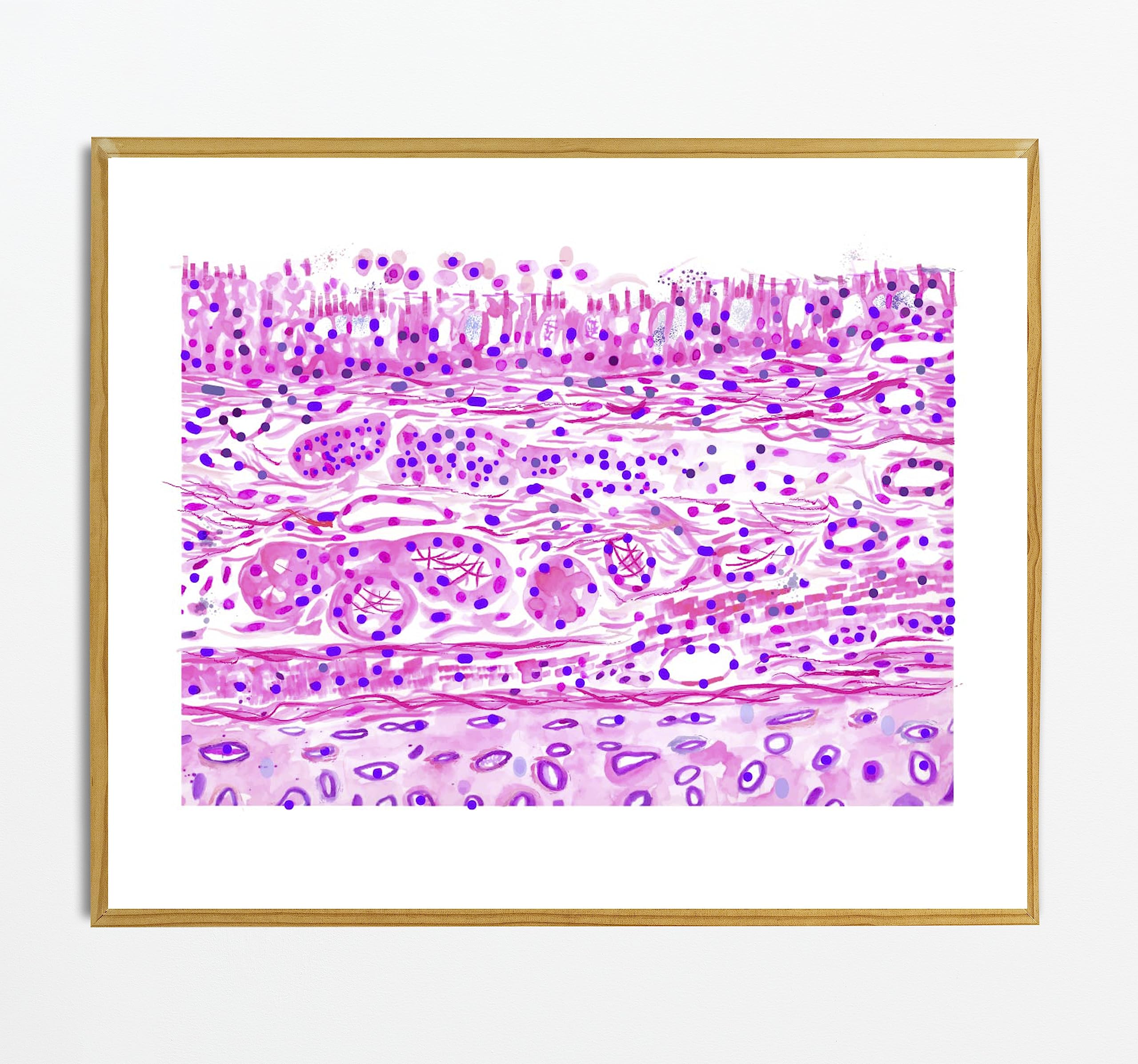 MEDPAPERS Bronchial Wall Histology, Histology Art, Pathology Assistant Gifts, Histology Poster, Pulmonary Histology, Pathologist Gifts, Pathology Decor, Fine Art Print (11x14 in)