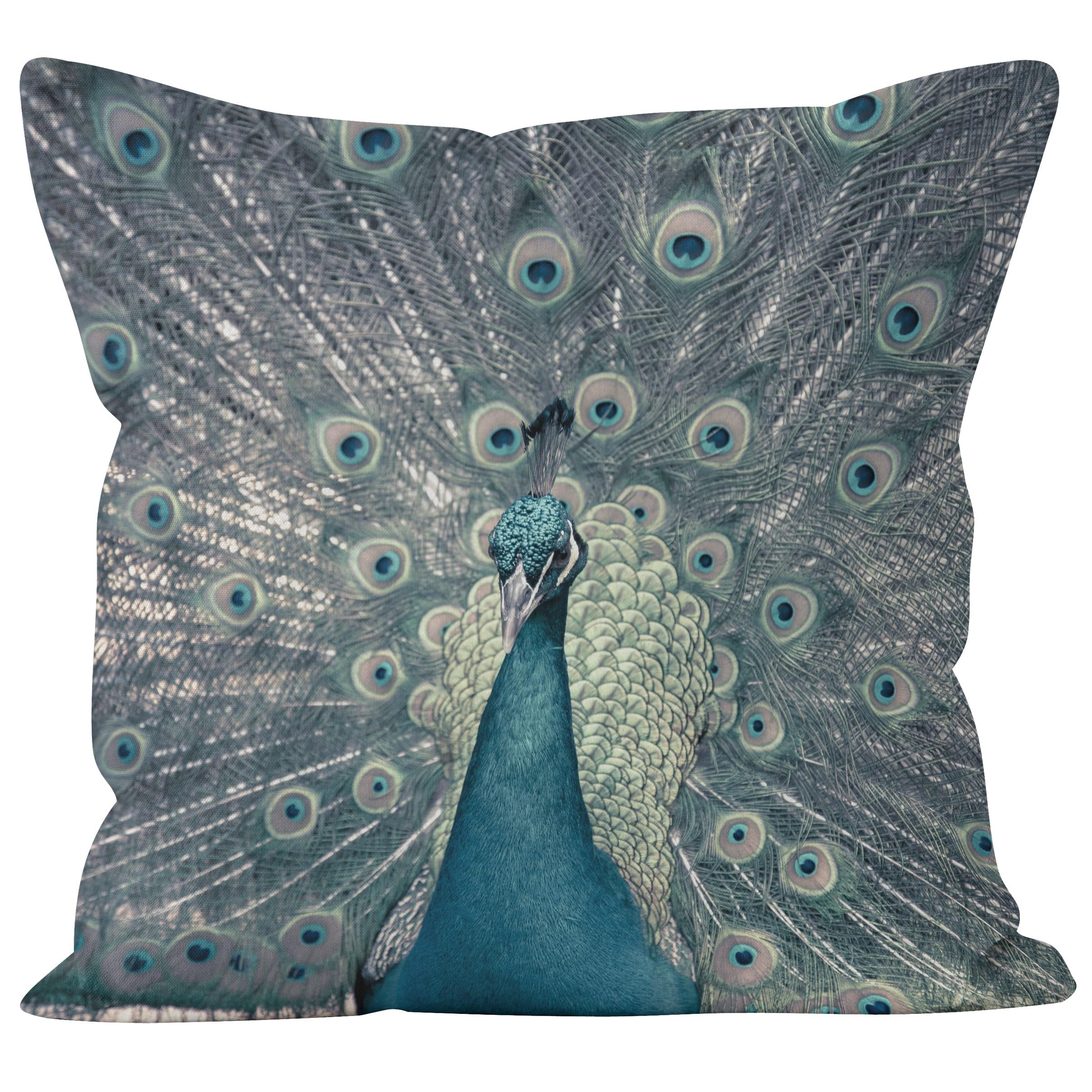 CEVAN Linen Extra Large Couch Pillow Covers Cushion Case Cover Peacock Feather Pillow Cover Zipper Standard Size Outdoor Couch Cushion Covers Throw Pillow Covers 40x40cm,1Pcs
