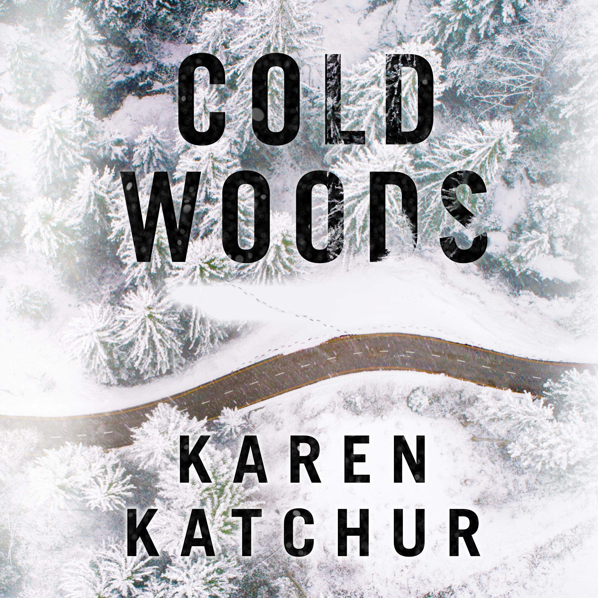 Cover art for Cold Woods