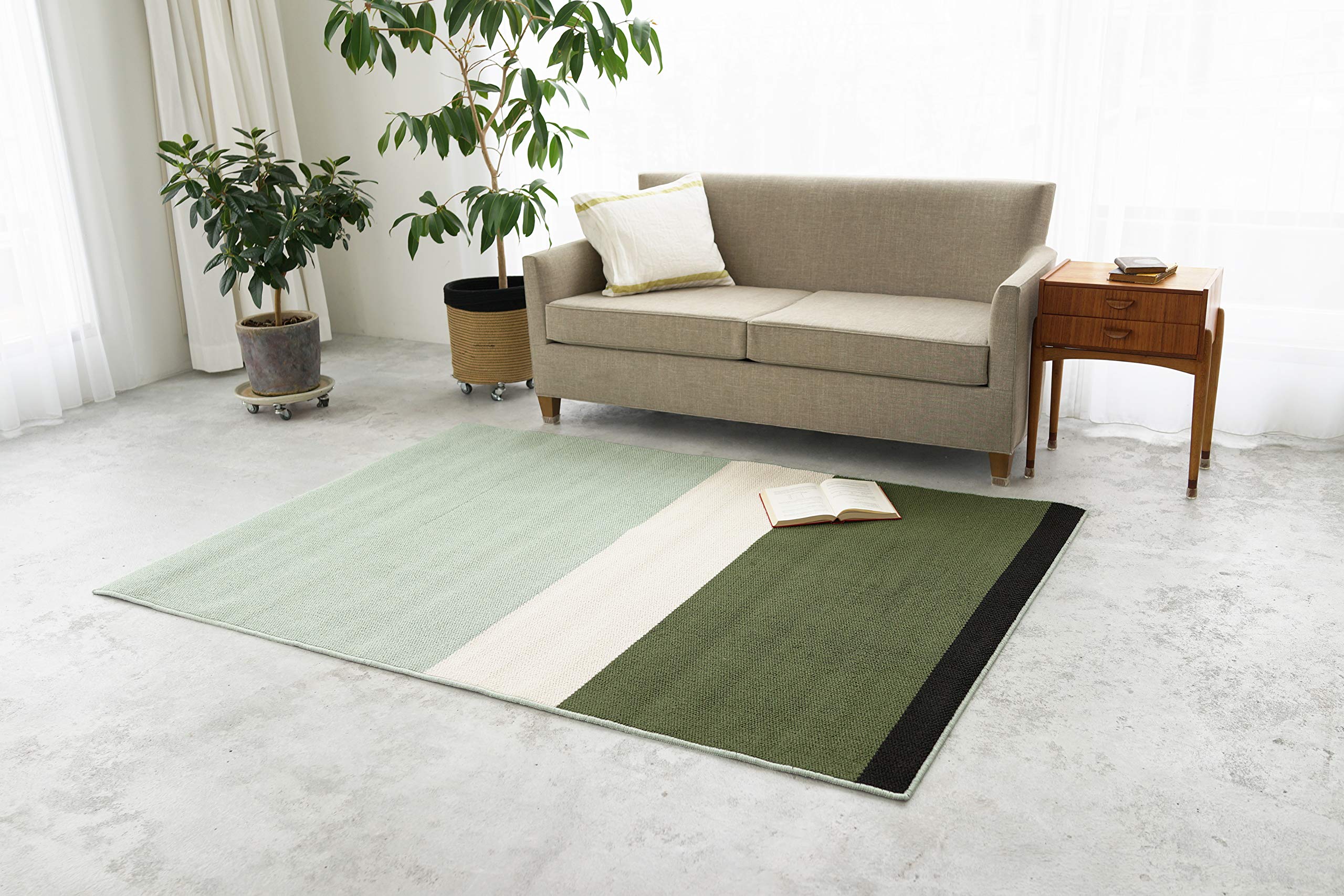 Amazon｜スミノエ ラグ 防ダニ OSLO オスロ 200×200cm グリーン
