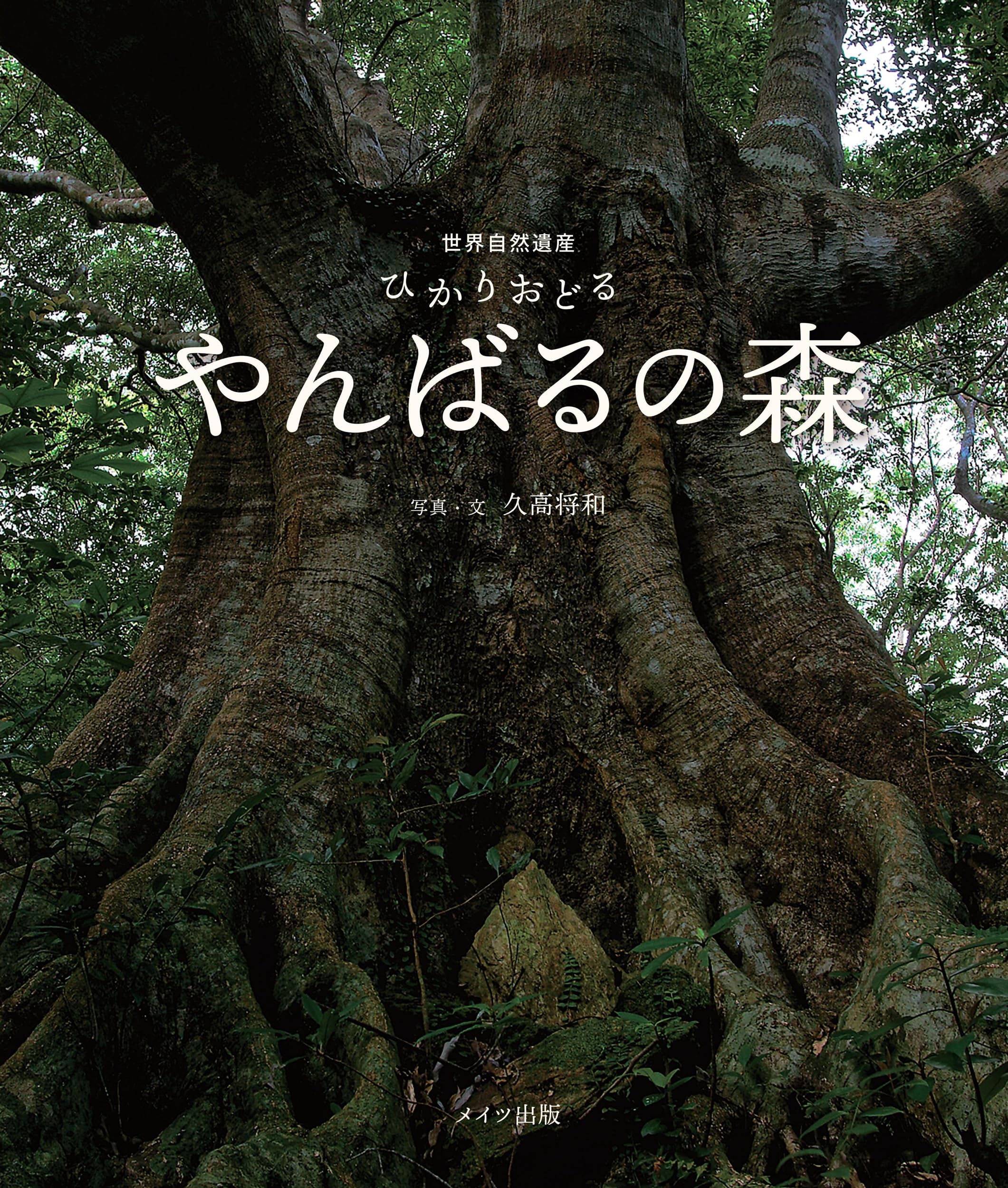 世界自然遺産 ひかりおどるやんばるの森 | 久高 将和 |本 | 通販 | Amazon