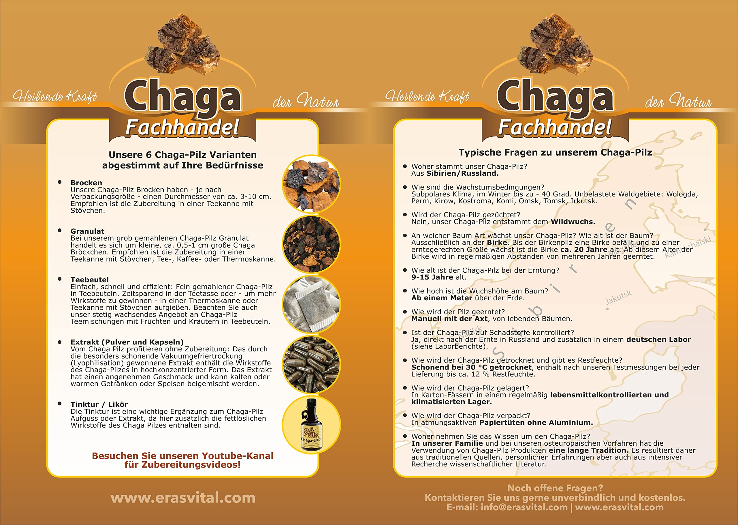 Chaga Champiñones en porciones en 120 bolsas de 1 g cada una, recolectadas silvestres, secado suave, vegano, calidad de comercio especializado, folleto con muchas recetas