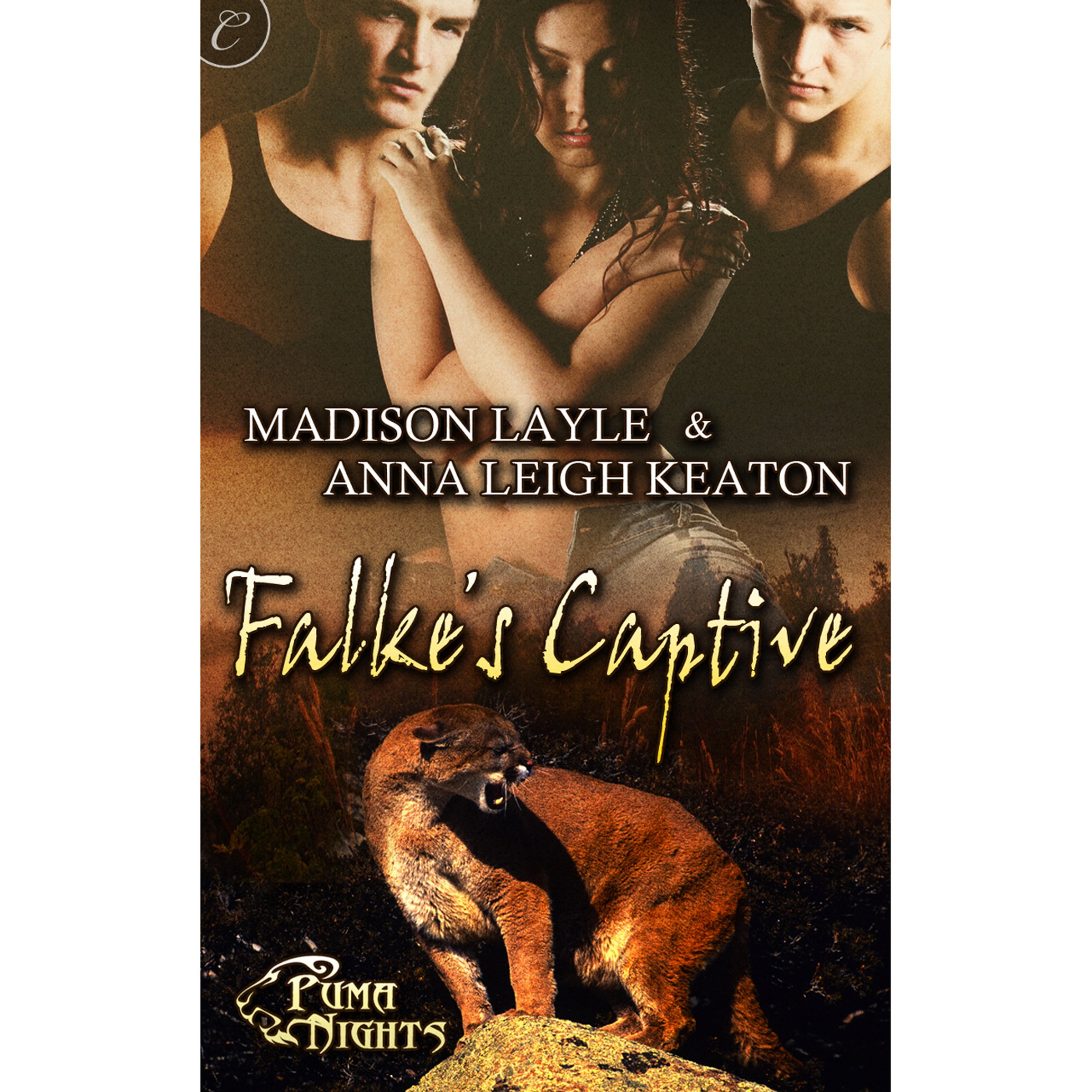 Cover art for Falke's Captive