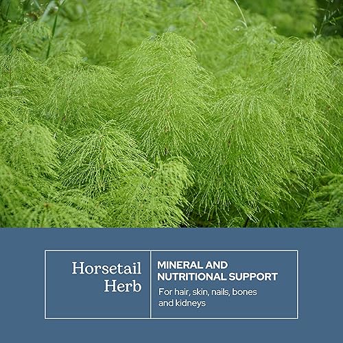 Miniatura 3 de ECLECTIC INSTITUTE Cola de caballo cruda fresca liofilizada sin OMG  90 CT (375 mg)