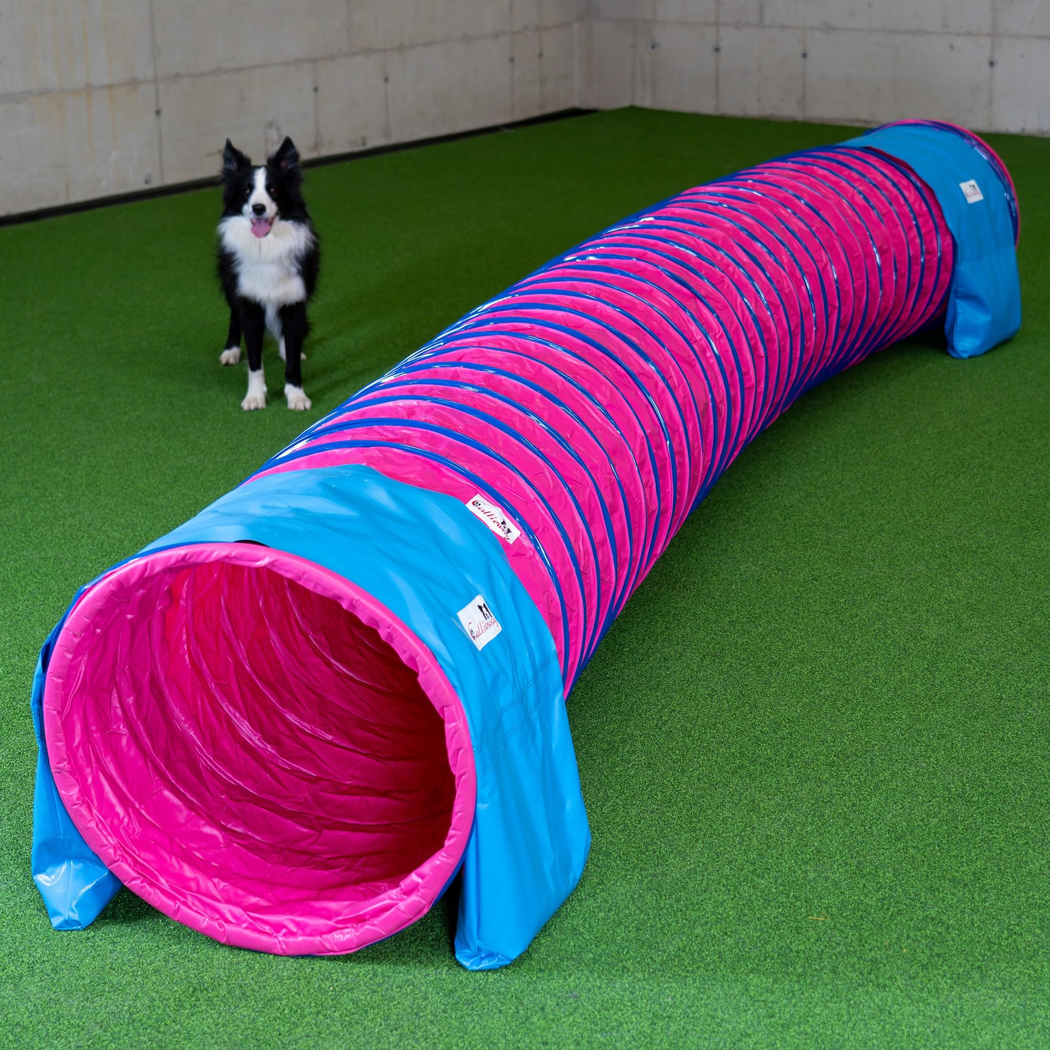 Callieway Dog Agility Tunnel professionale per cani 3 m Fuchsia con sacchi di sabbia