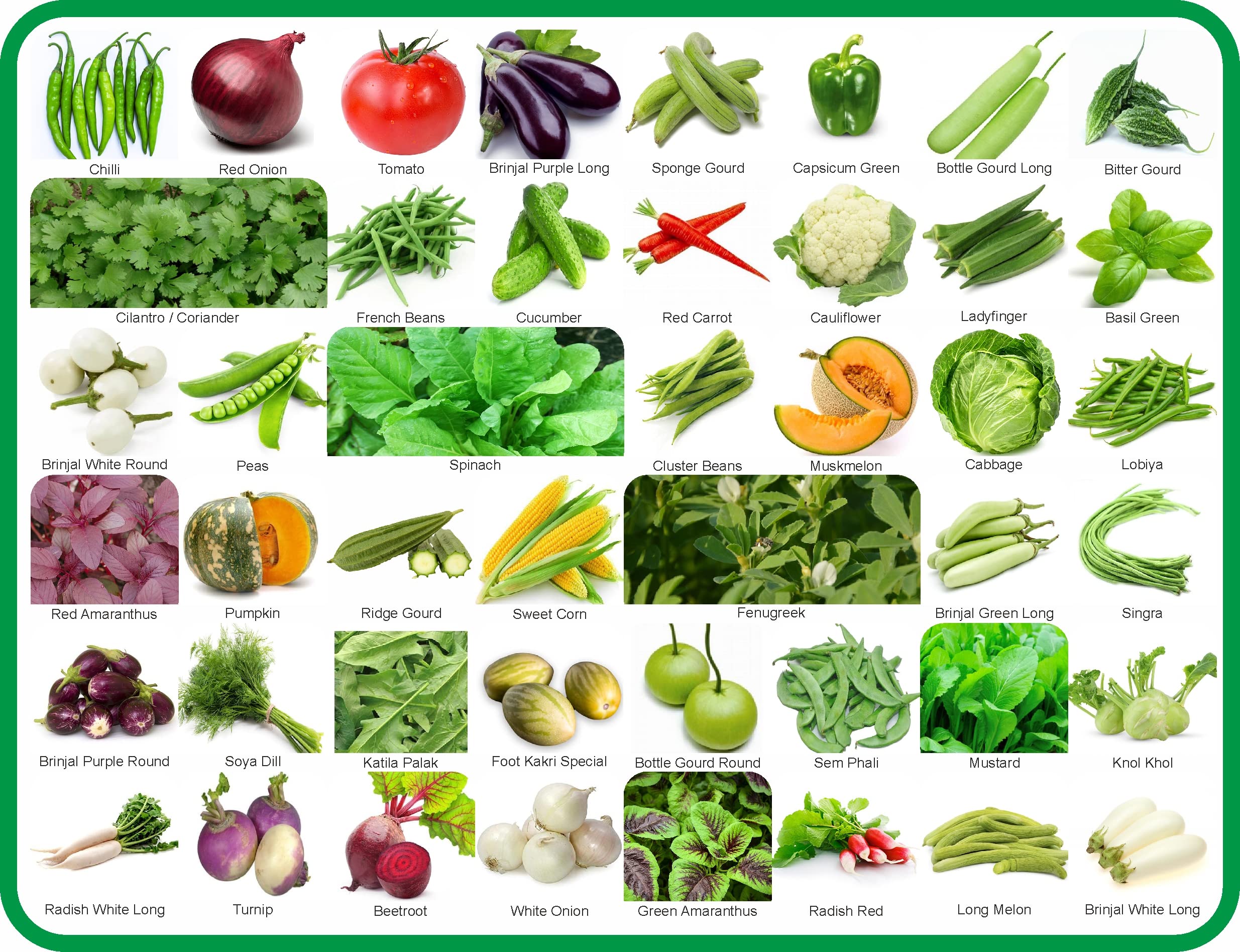 Agnico 45 Variety Of Vegetable Seeds Combo Pack With Instruction Manual. (B0BHDX93PK) Amazon Price History, Amazon Price Tracker
