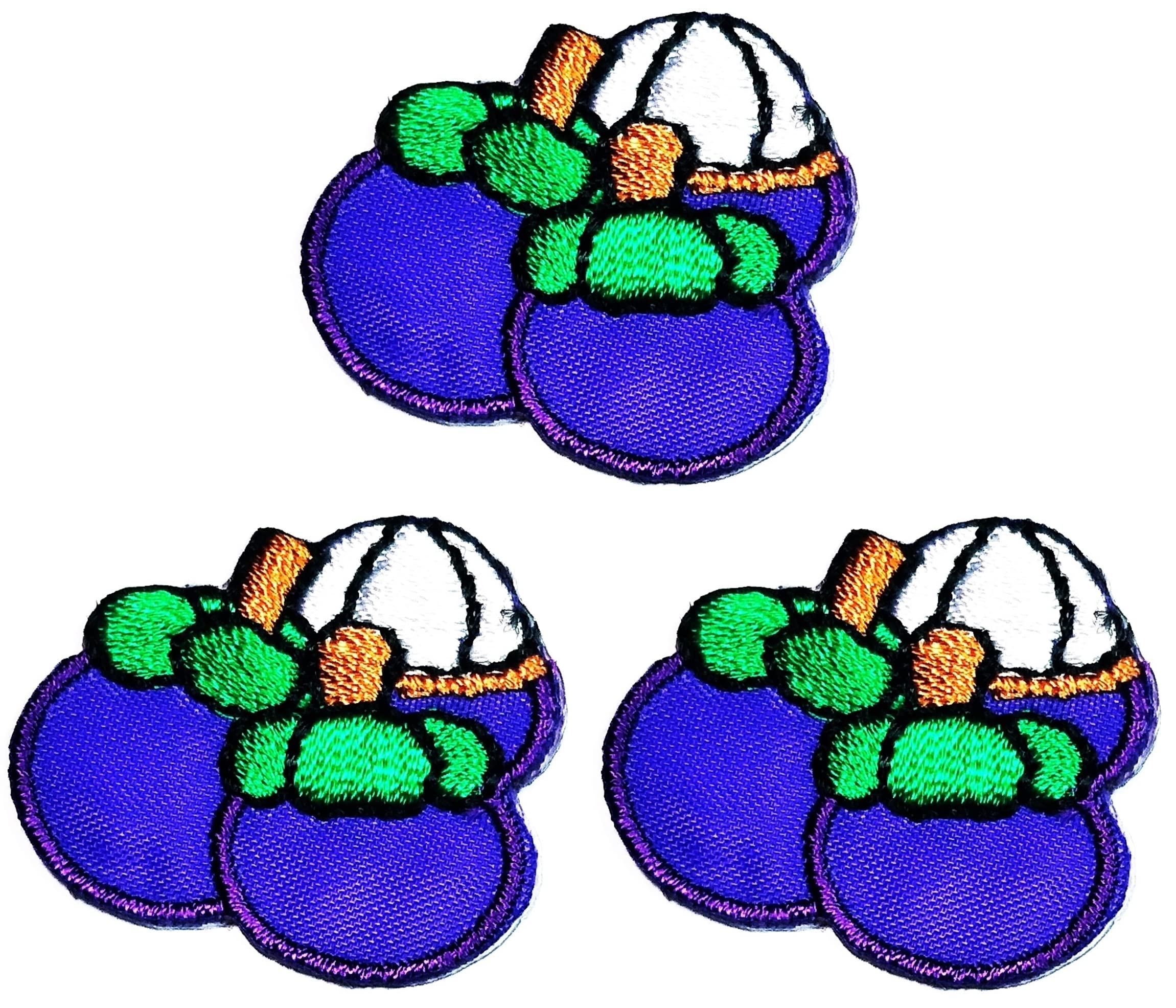 Kleenplus 3pcs. Mini Cute Fruit Cartoon Iron on Patches Activities Embroidered Logo Clothe Jeans Jackets Hats Backpacks Shirts Accessories DIY Costume Arts Mangosteen Fruit Patch
