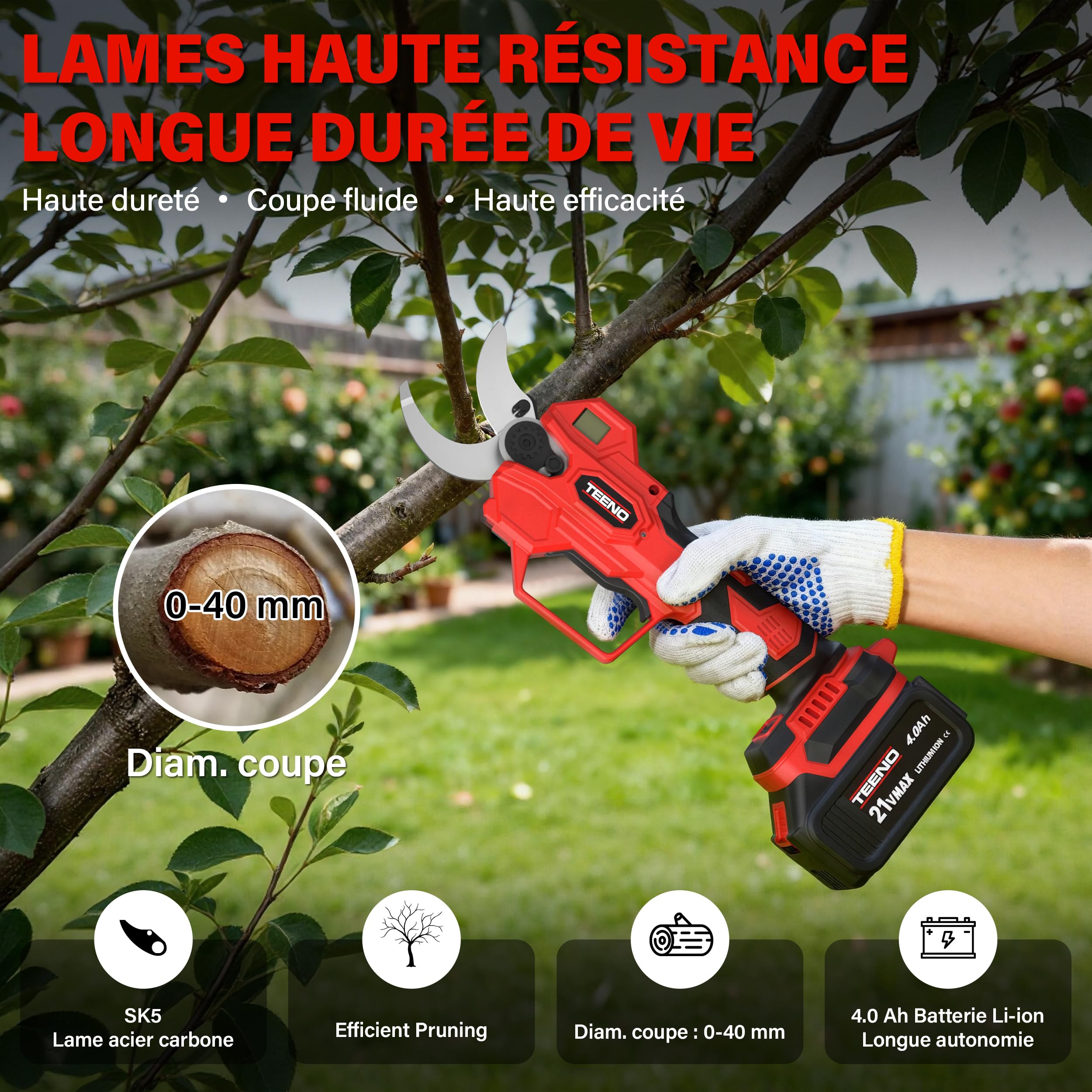 TEENO 2 en 1 Ensemble d'Outils de Jardinage : Mini Tronconneuse à Batterie 6 Pouces + Sécateur Électrique Sans Fil 0-40mm, 2 X 4.0 Ah Batteries, Lames Acier SK5 pour Coupe de Troncs et Branches
