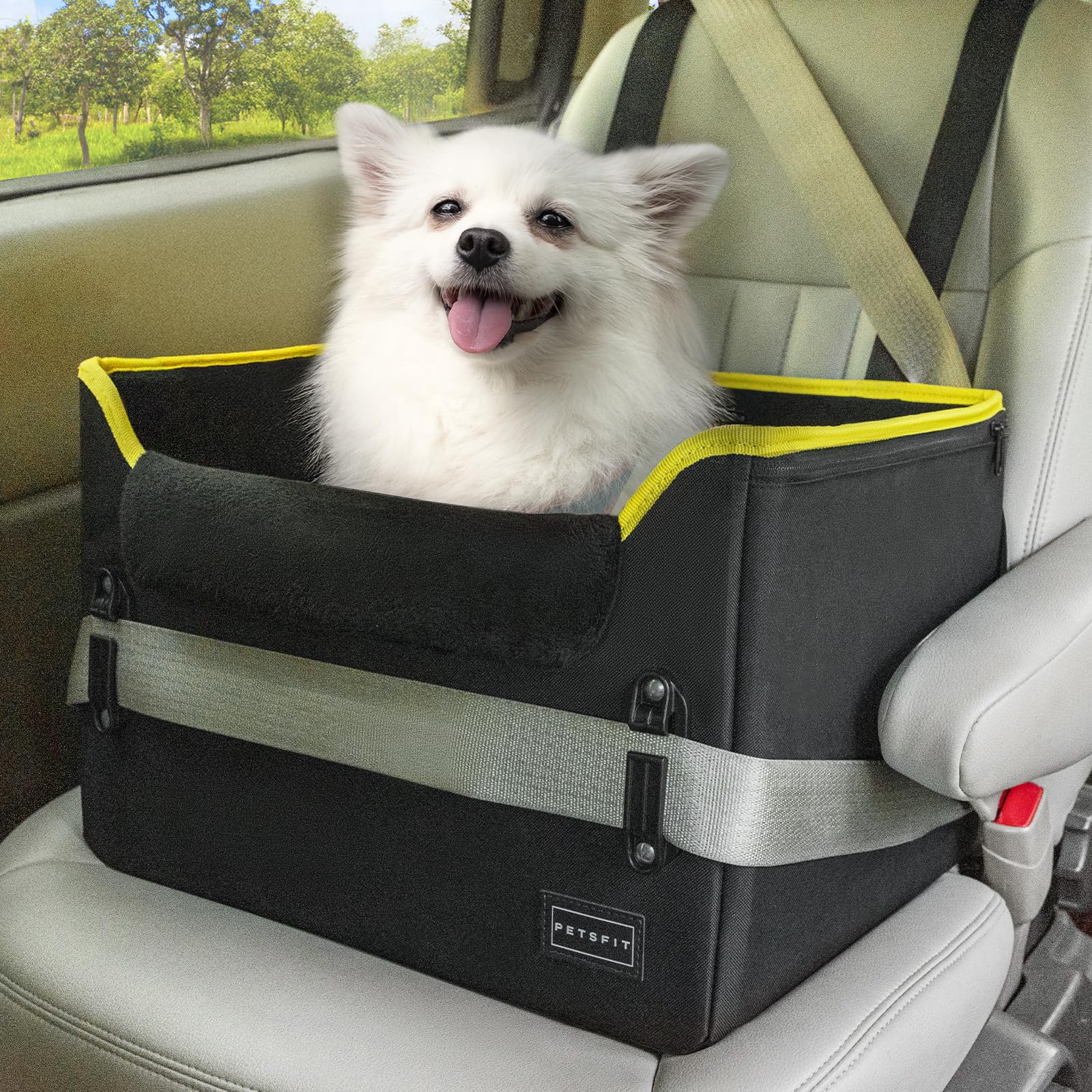 Amazon.co.jp: Petsfit ペットドライブボックス ドライブボックス 犬