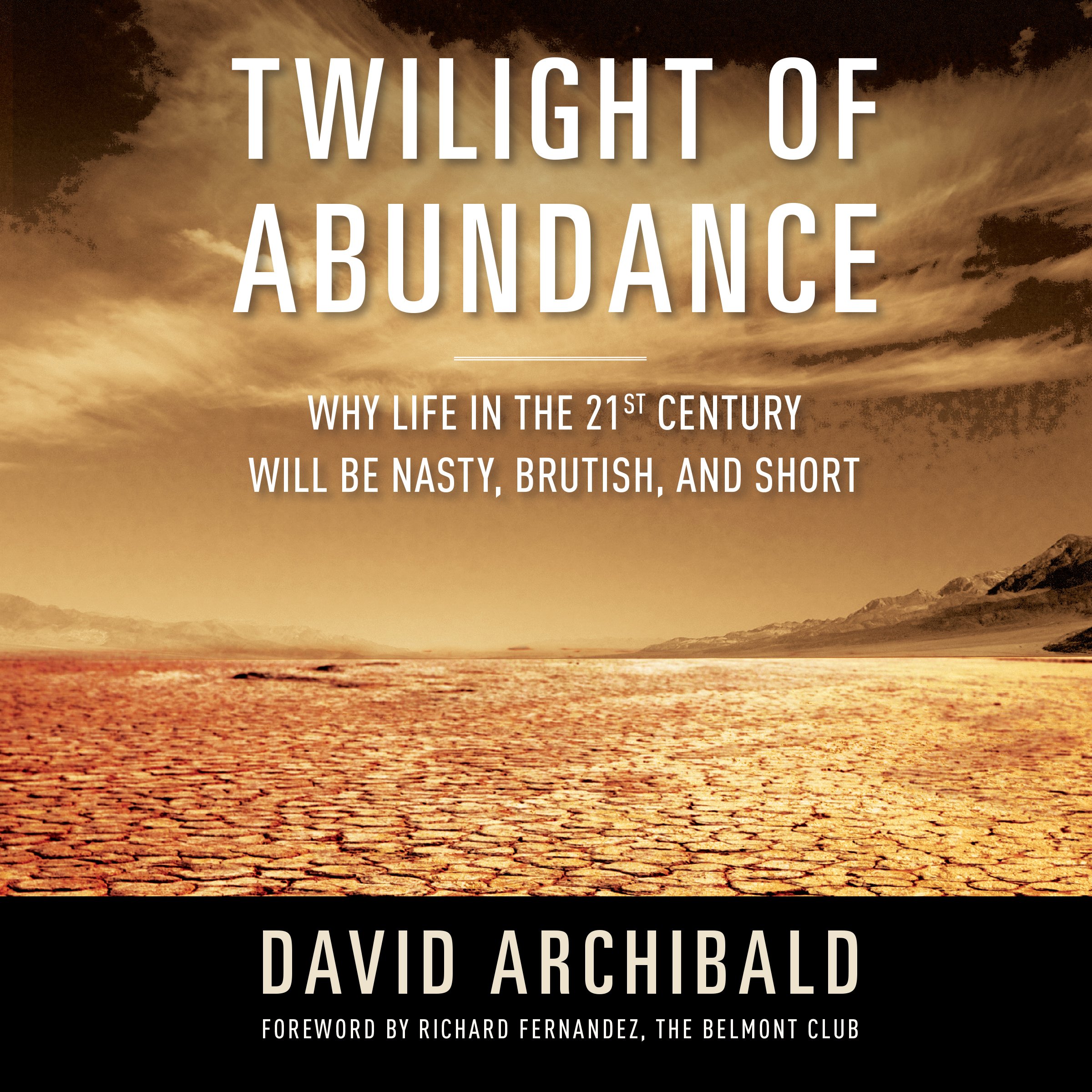 Cover art for Twilight of Abundance