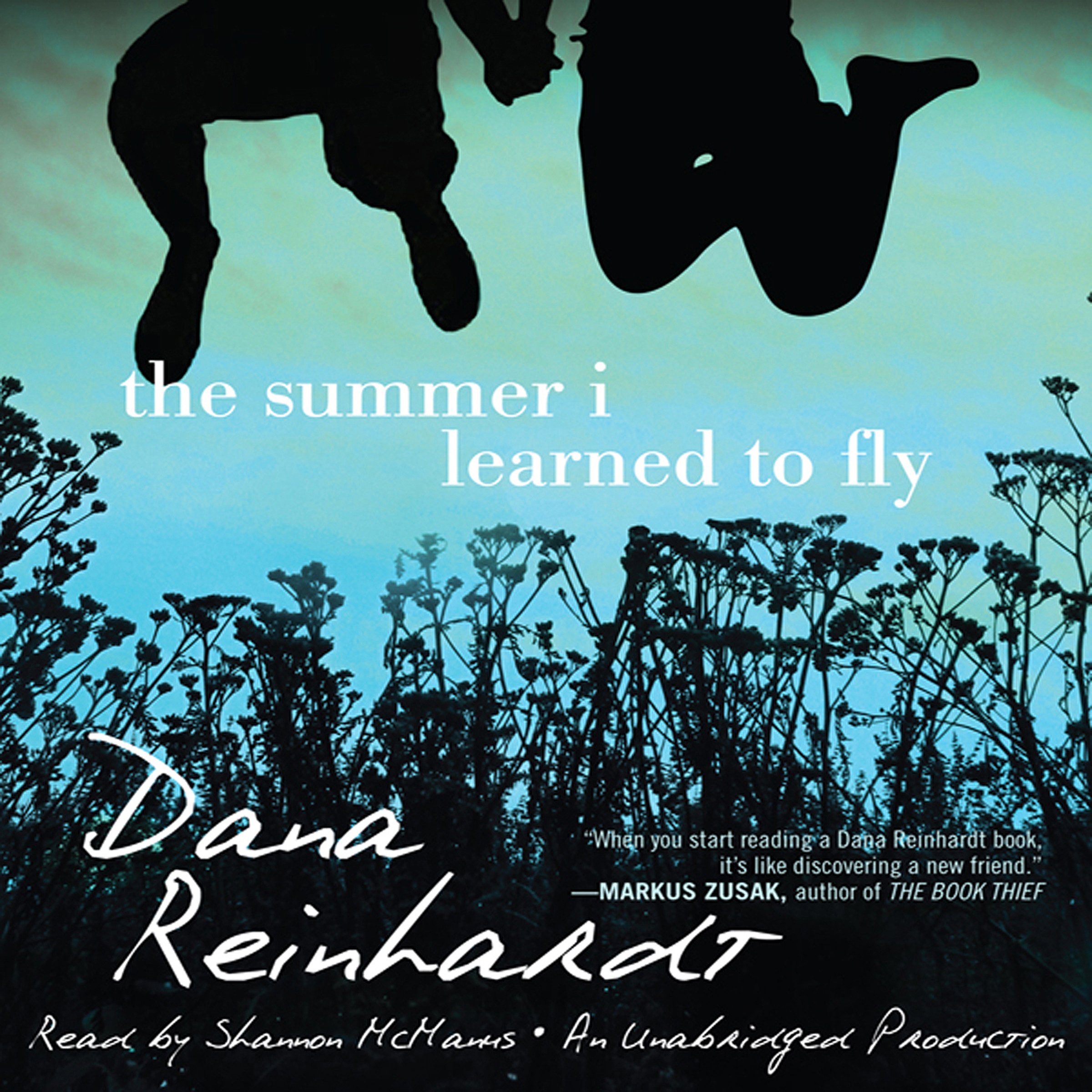 The Summer I Learned to Fly