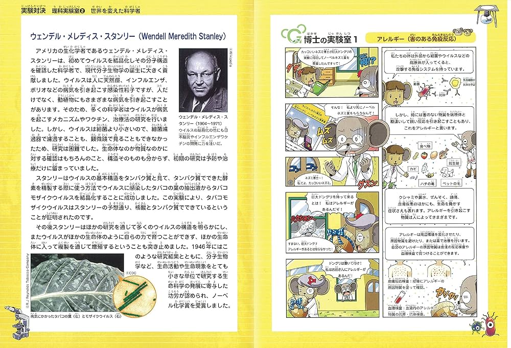 学校勝ちぬき戦・実験対決シリーズ【10巻セット】31巻-40巻