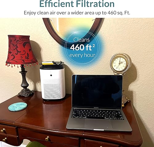 Miniatura 7 de XP150 - Purificador de aire de encimera con bandeja y parte superior de veteranos con aire de 360 grados, filtración de 3 etapas para hasta 460 pies