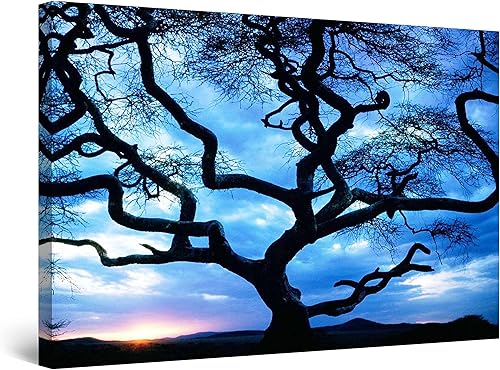 Startonight Lienzo decorativo para pared, increíble puesta de sol detrás del árbol, imagen de paisaje natural de árboles para sala de estar,
