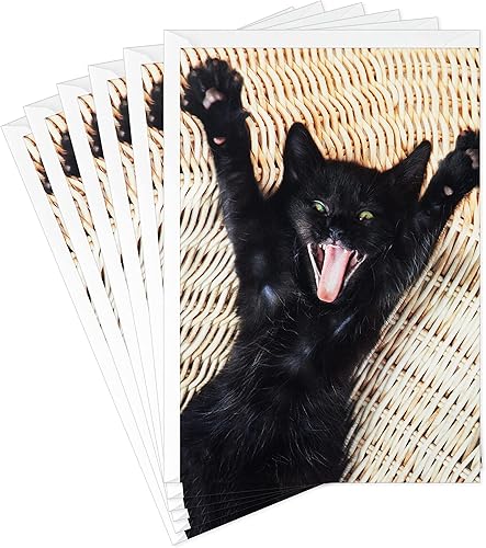 Miniatura 1 de Hallmark Paquete de divertidas tarjetas de cumpleaños, gato emocionado (6 tarjetas de cumpleaños con sobres)
