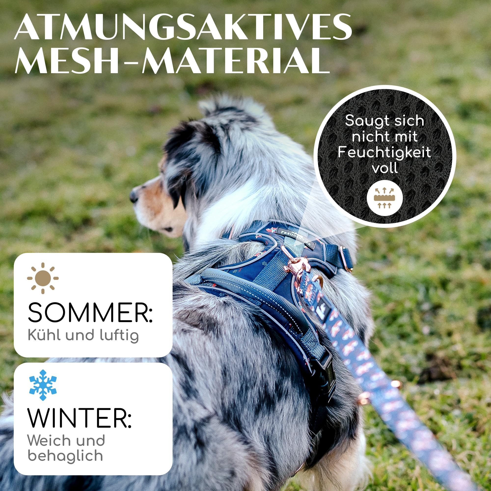 FREUDENTIER Hundegeschirr mit Griff & atmungsaktiver Polsterung - Höchster Komfort, fester Sitz & maximale Sicherheit - Anti Zug - Lets get Foxy Kollektion - Für kleine, mittelgroße & grosse Hunde (M)