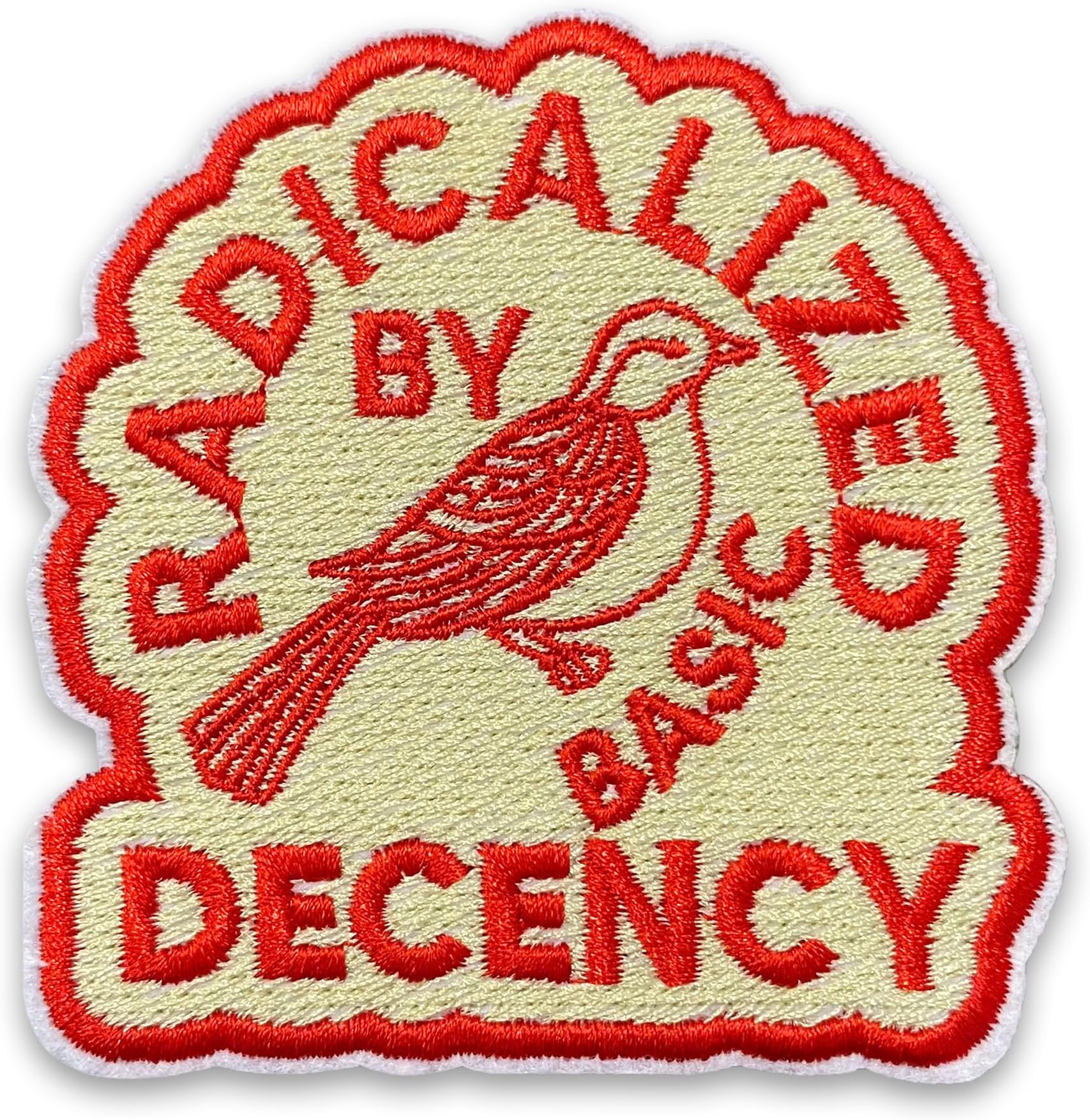 Radicalized by Basic Decency Patch 3 Inches Bird, Social Justice, Activist, Socialist Liberal, Iron On/Sew On Embroidery Fabric Applique Patches for Trucker Hats Clothes Backpack DIY Accessories Gifts