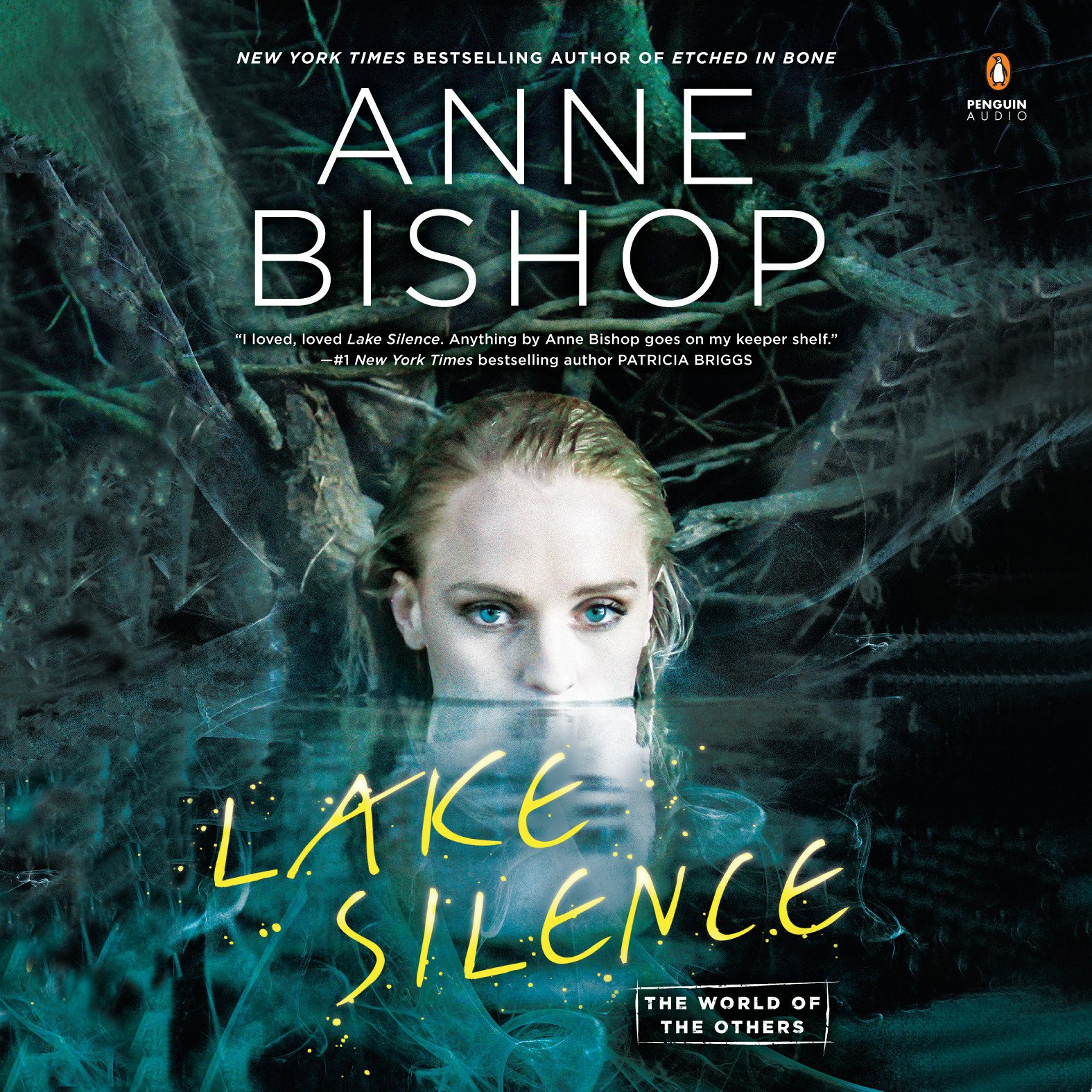 Book cover for Lake Silence