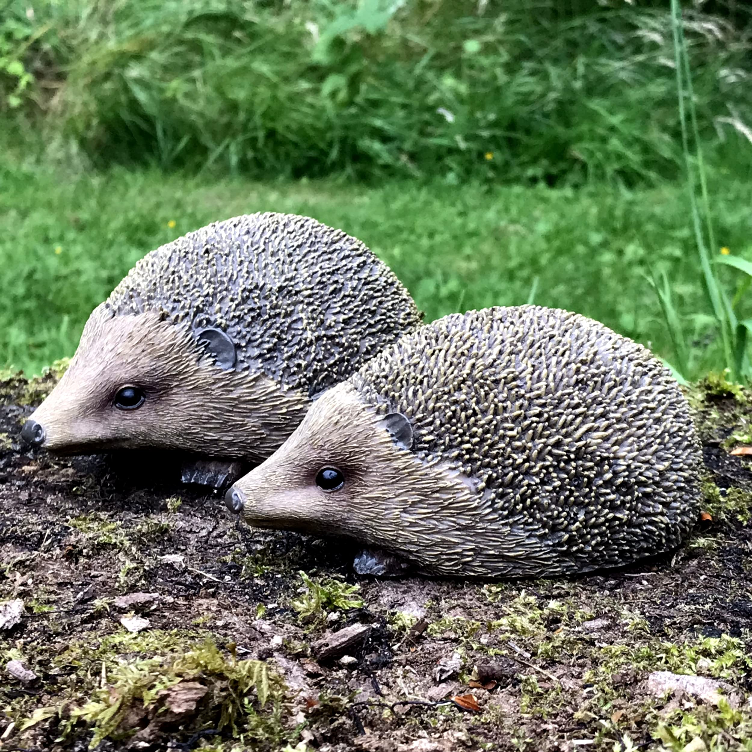 Animal Crackers SET 2 HEDGEHOGS indoor outdoor ornament decoration figurine hedgehog lover gift