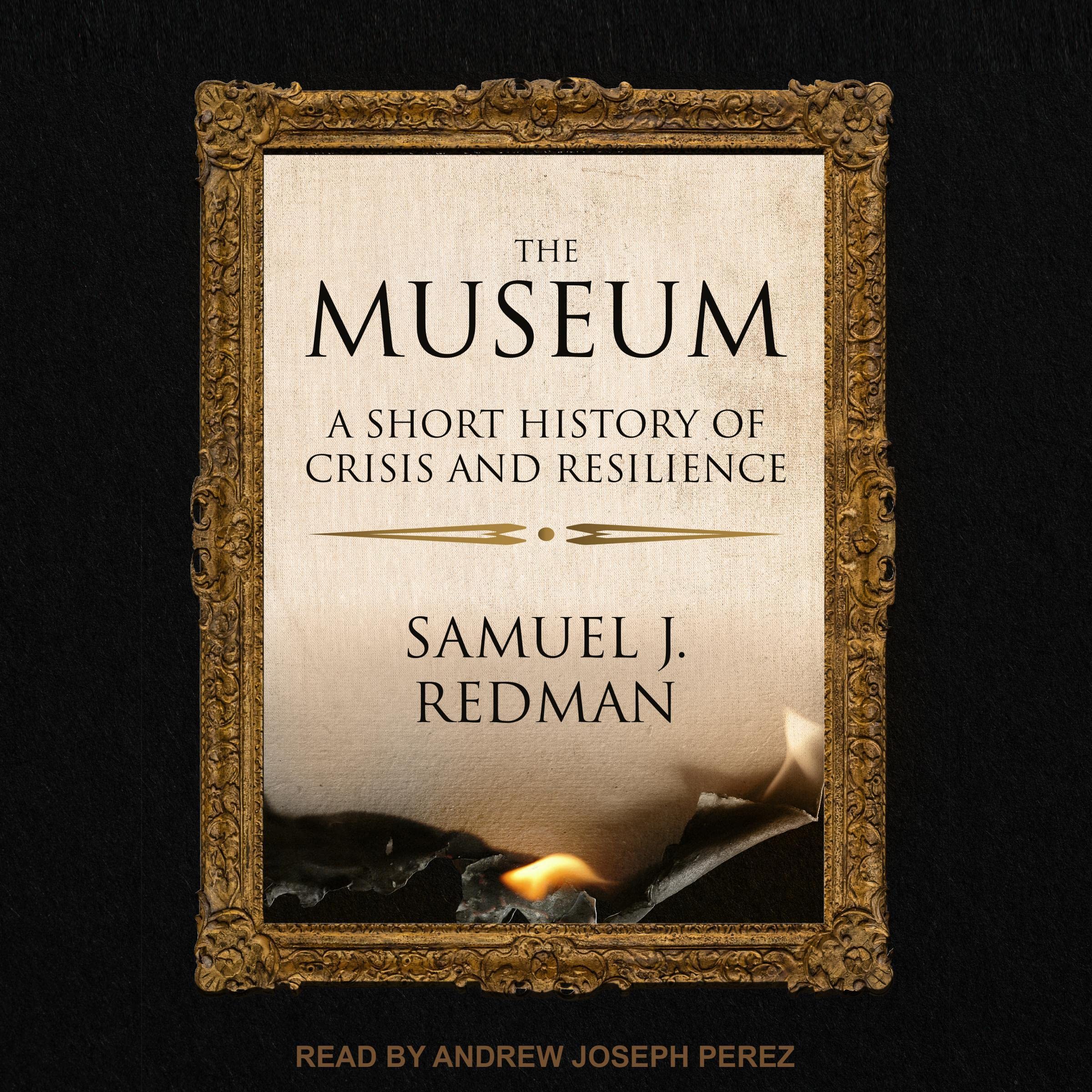Cover art for The Museum