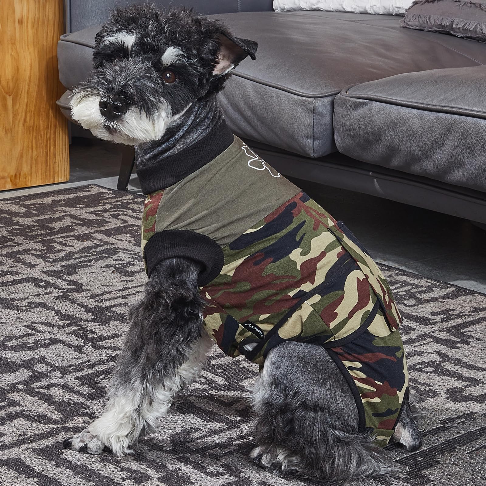 Jiupety Body Cane Post Operatorio Femmina Integrato Regolabile, Morbido e Confortevole, Body Tuta Chirurgico Cane Femmina, Verde, XXL
