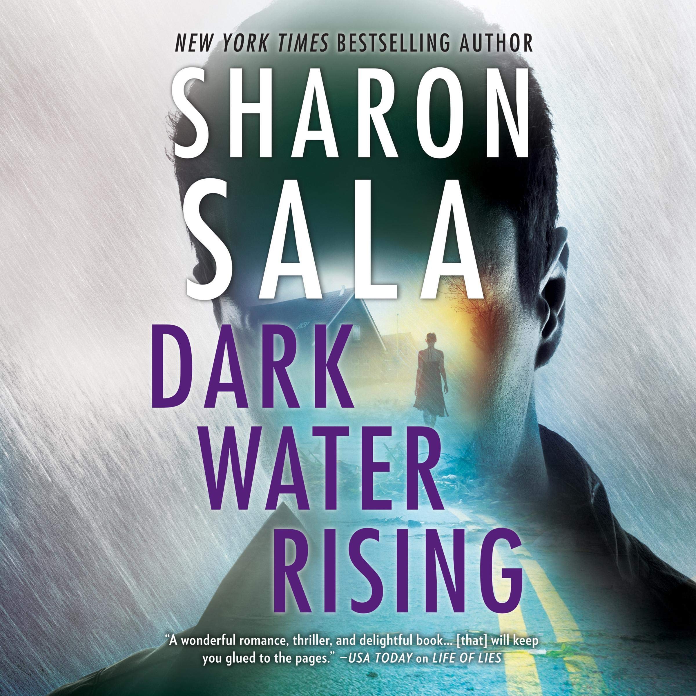 Cover art for Dark Water Rising