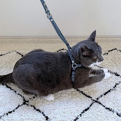 target cat harness
