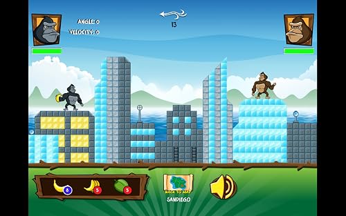 Gorillas – vue 5