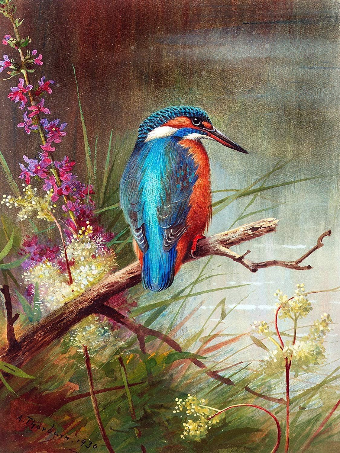 Kingfisher by Archibald Thorburn Accent Tile Mural Kitchen Bathroom Wall Backsplash Behind Stove Range Sink Splashback One Tile 8x10 Ceramic, Glossy