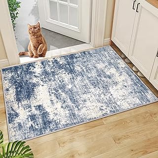 Area Rug Washable Rug 2x3: Entryway Rug Small...,