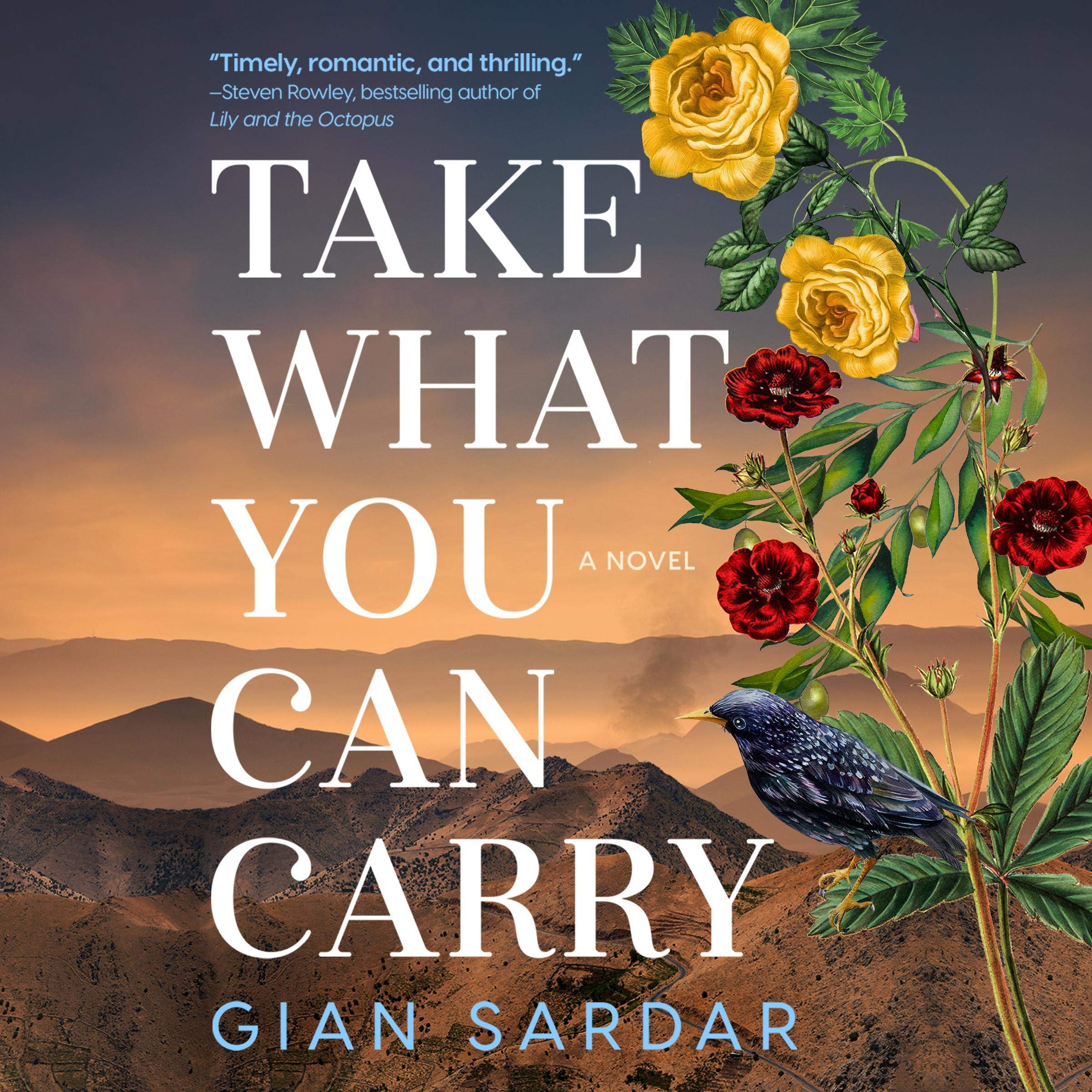 Cover art for Take What You Can Carry