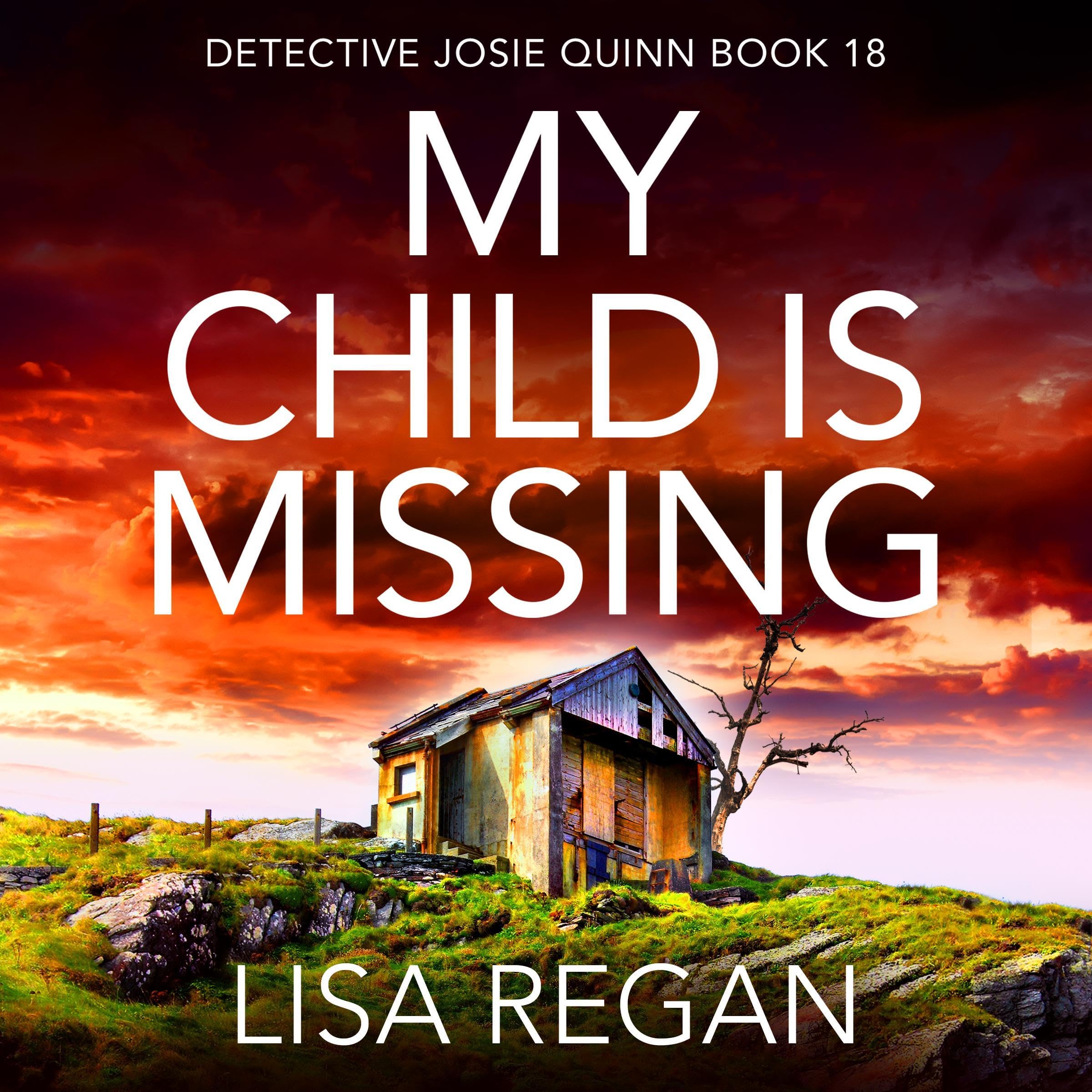 Cover art for My Child Is Missing