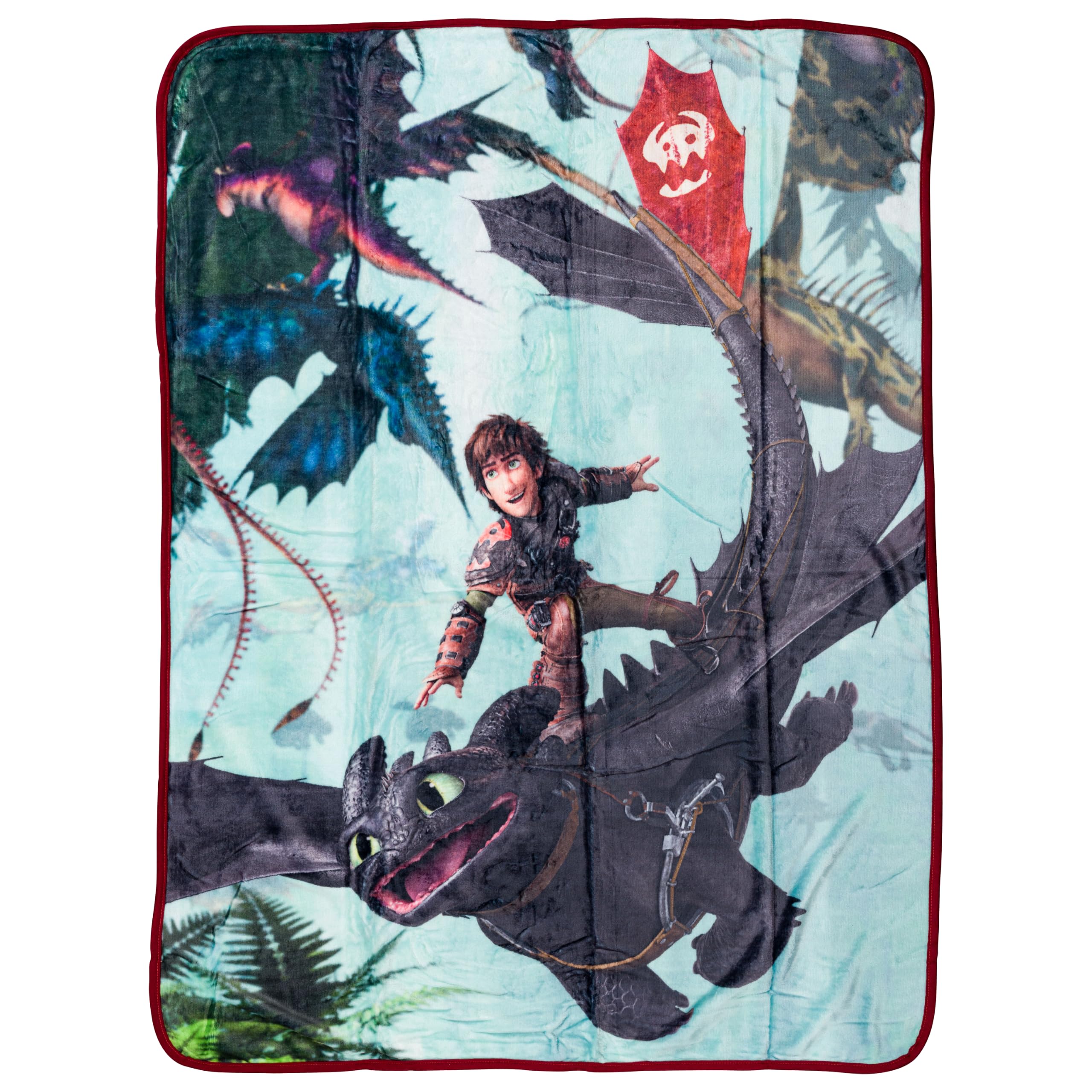 Silver Buffalo How to Train Your Dragon, Fleece Throw Blanket, 45x60in
